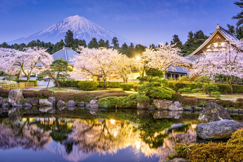 HomePageで準備している画像 桜 湖 富士山 ( ភ្នំហ្វូជិ )Fuji-Hakone-Izu National Park