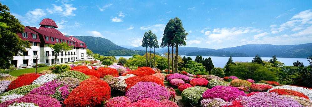 ( ហាគូនេ )In Odakyu Yamano Hotel view many flowers garden and trees