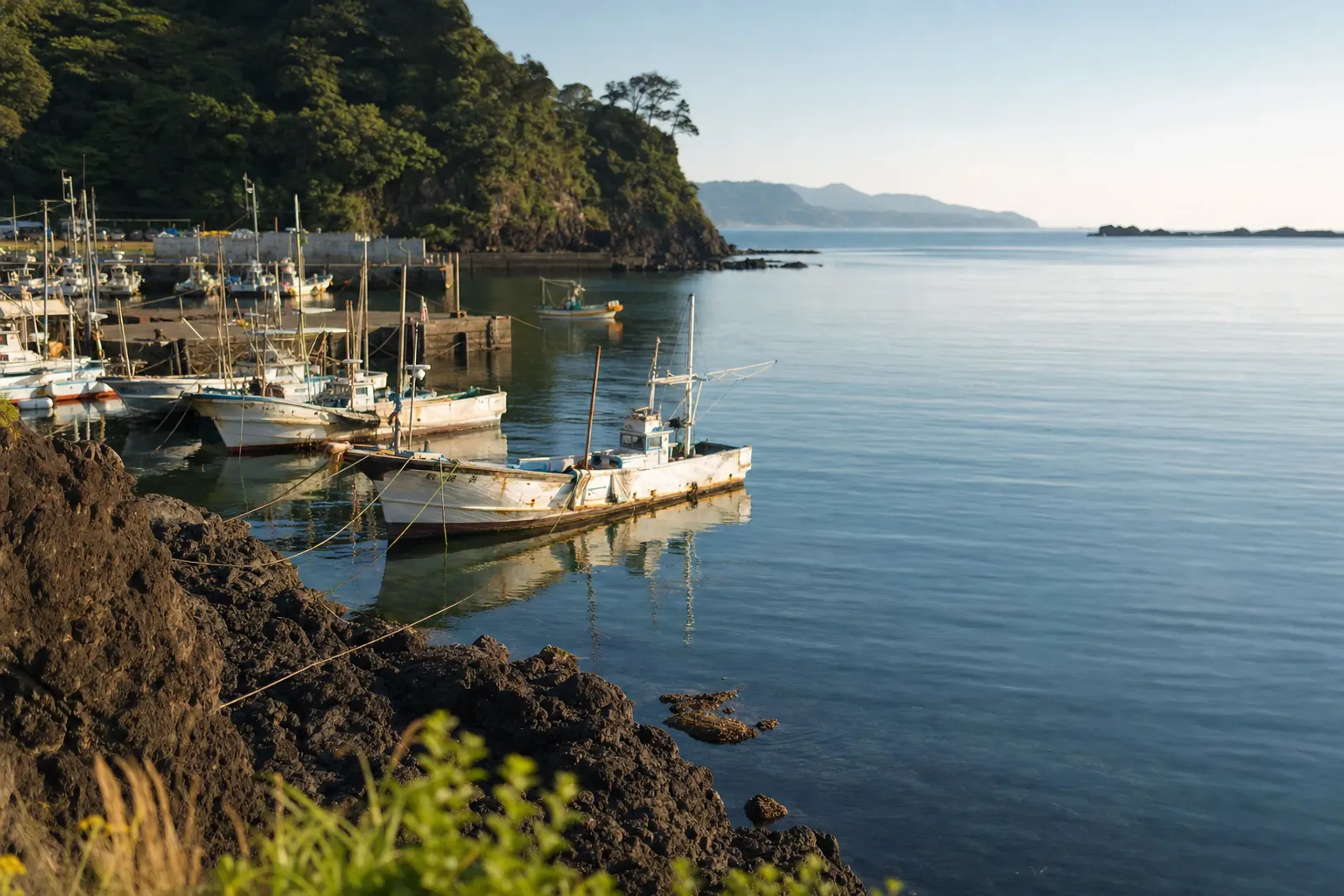 Quiet fishing bay and boats along the Izu coast in late afternoon light
