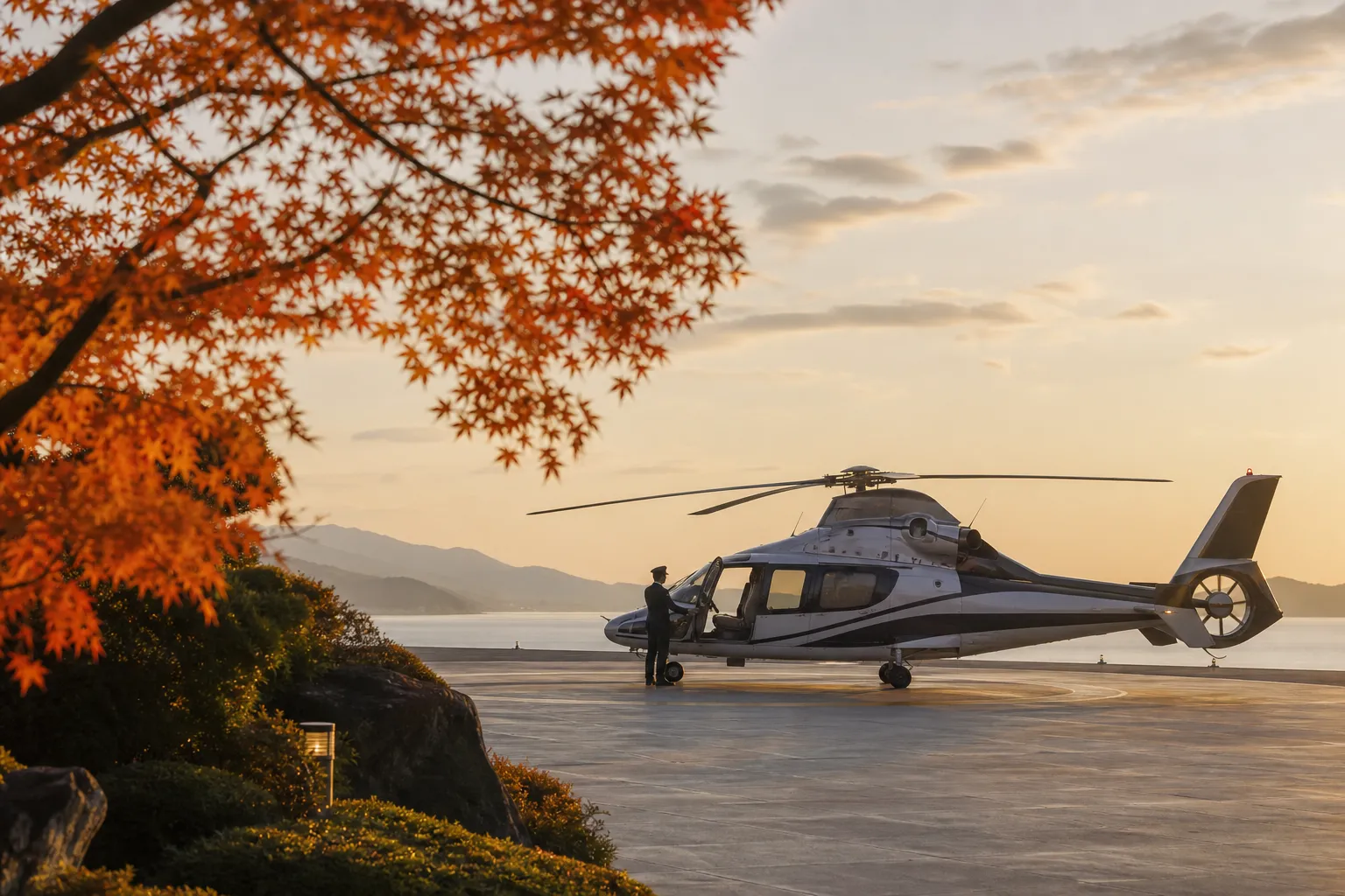 Helicopter, Japan