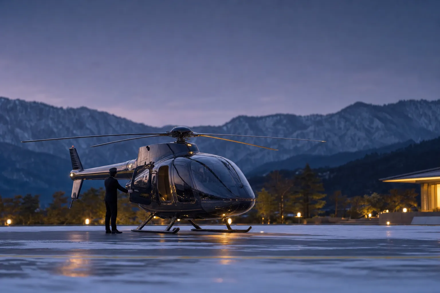 Helicopter, Japan