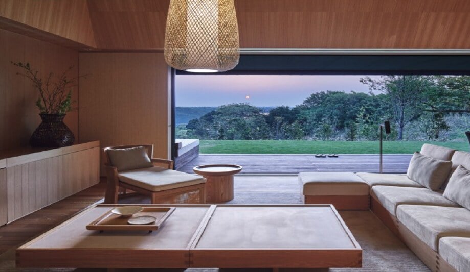 Helicopter, Japan