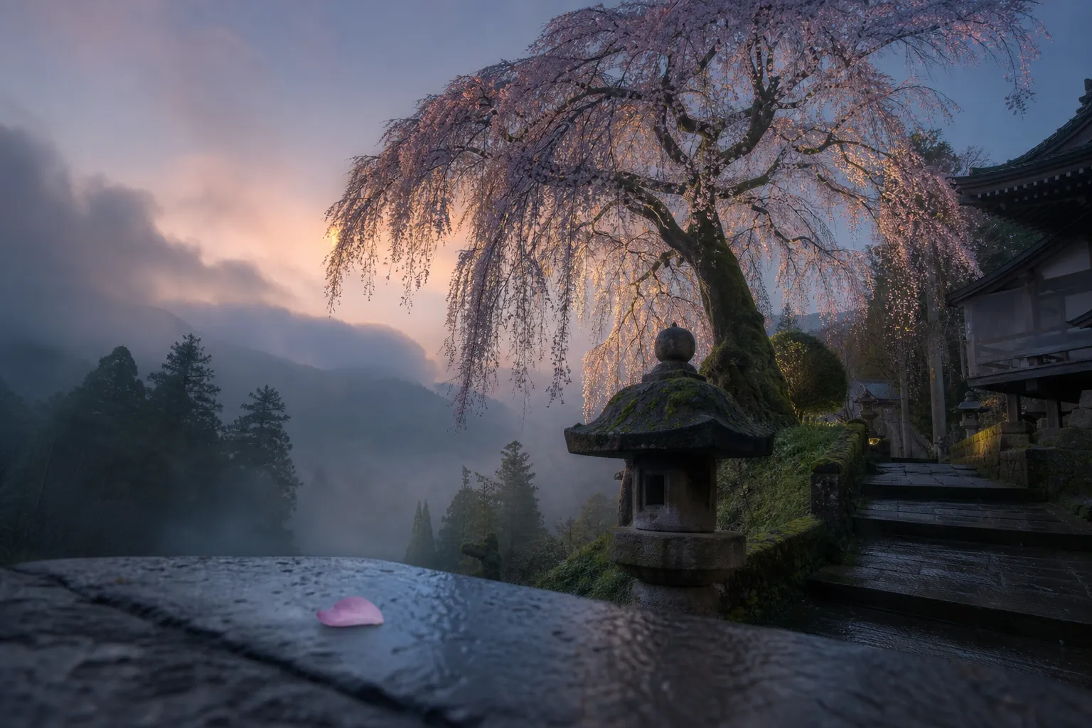 Hidden Hanami Spots: Japan's Best Kept Secrets