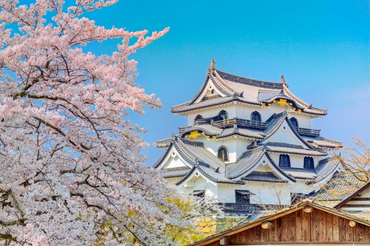 Hikone Castle & Genkyūen Garden, Shiga