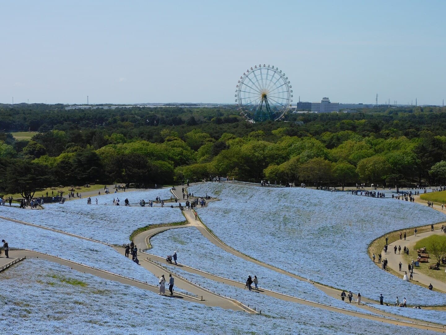 ひたち海浜公園