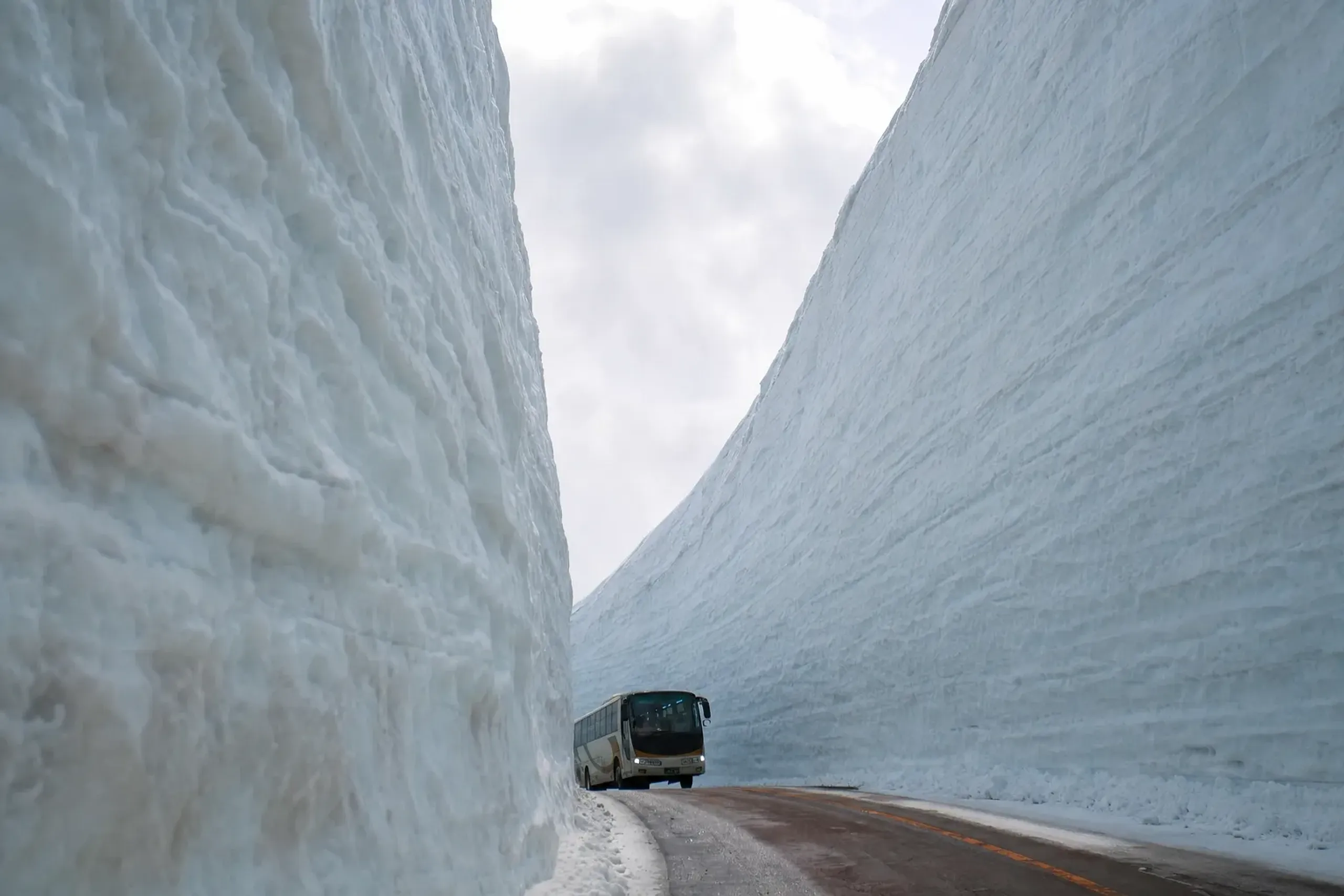 the towering packed snow walls of the Tateyama Kurobe Alpine Route's Snow Corridor rising beside a climbing bus