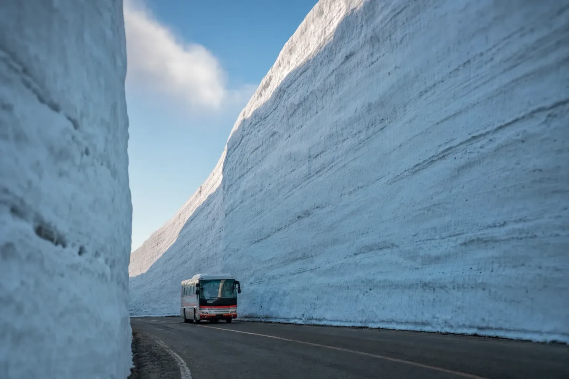 Hokuriku by Season: When Each Phenomenon Actually Peaks