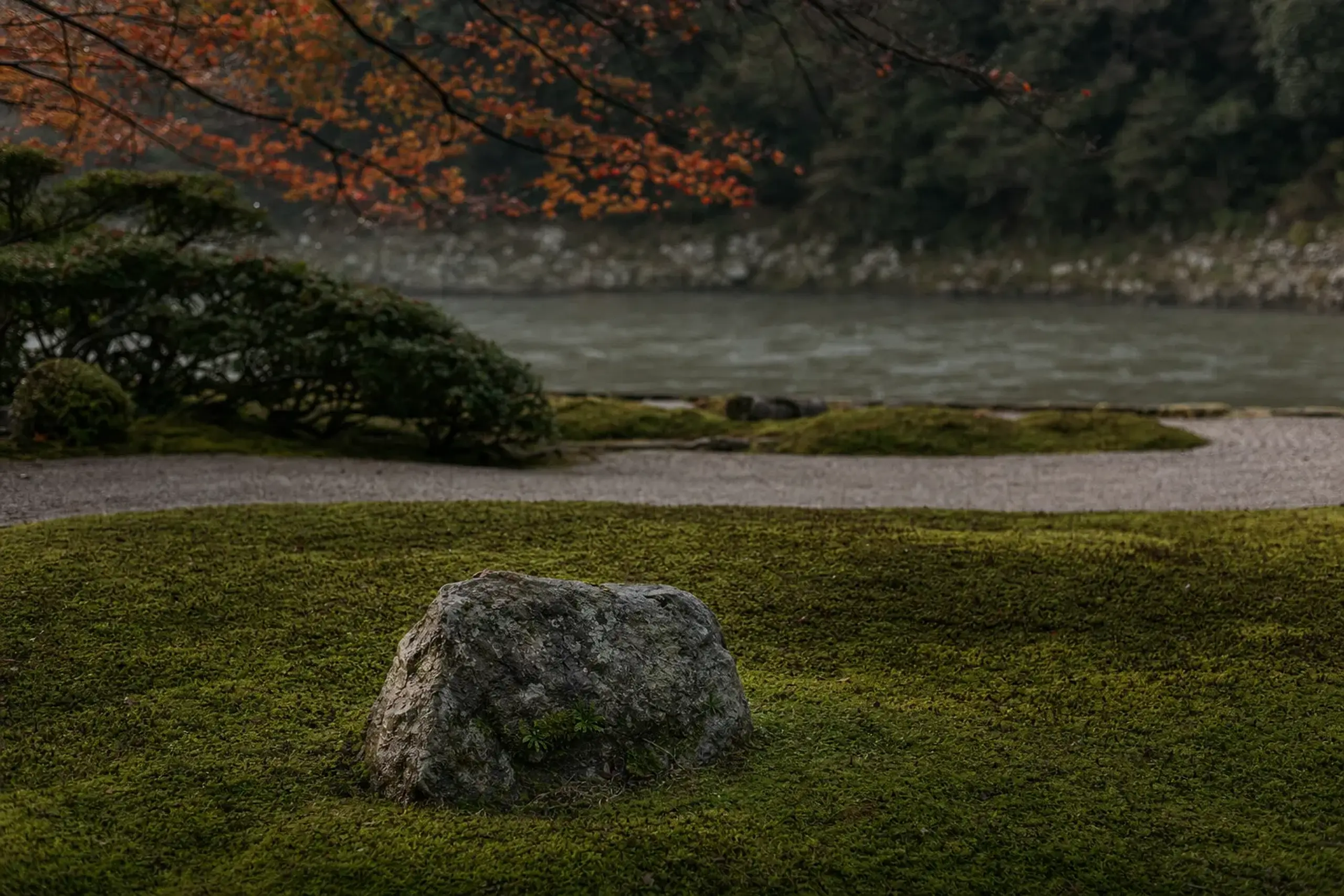the moss-covered garden at HOSHINOYA Kyoto created by Ueyakato Landscape, with a single weathered stone set naturally amid disciplined planting along the Hozugawa River