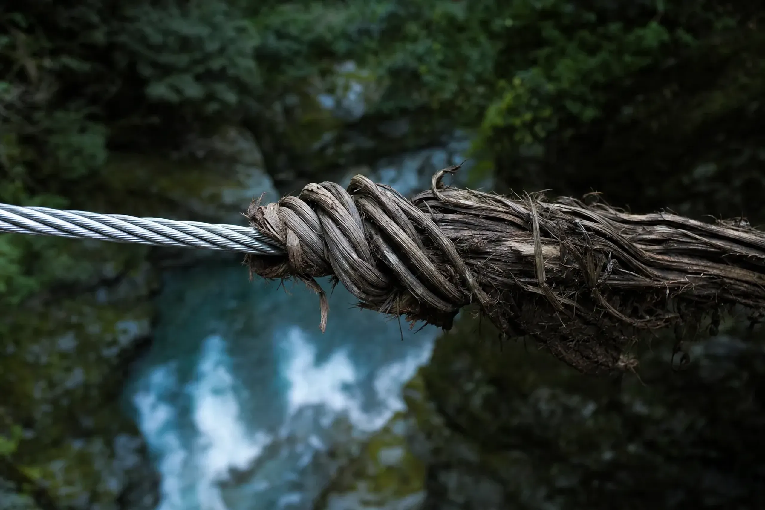 close-up detail of the Kazurabashi's shirakuchikazura vine wrapping unwound to reveal the steel wire rope beneath, at the vine bridge over the Iya River