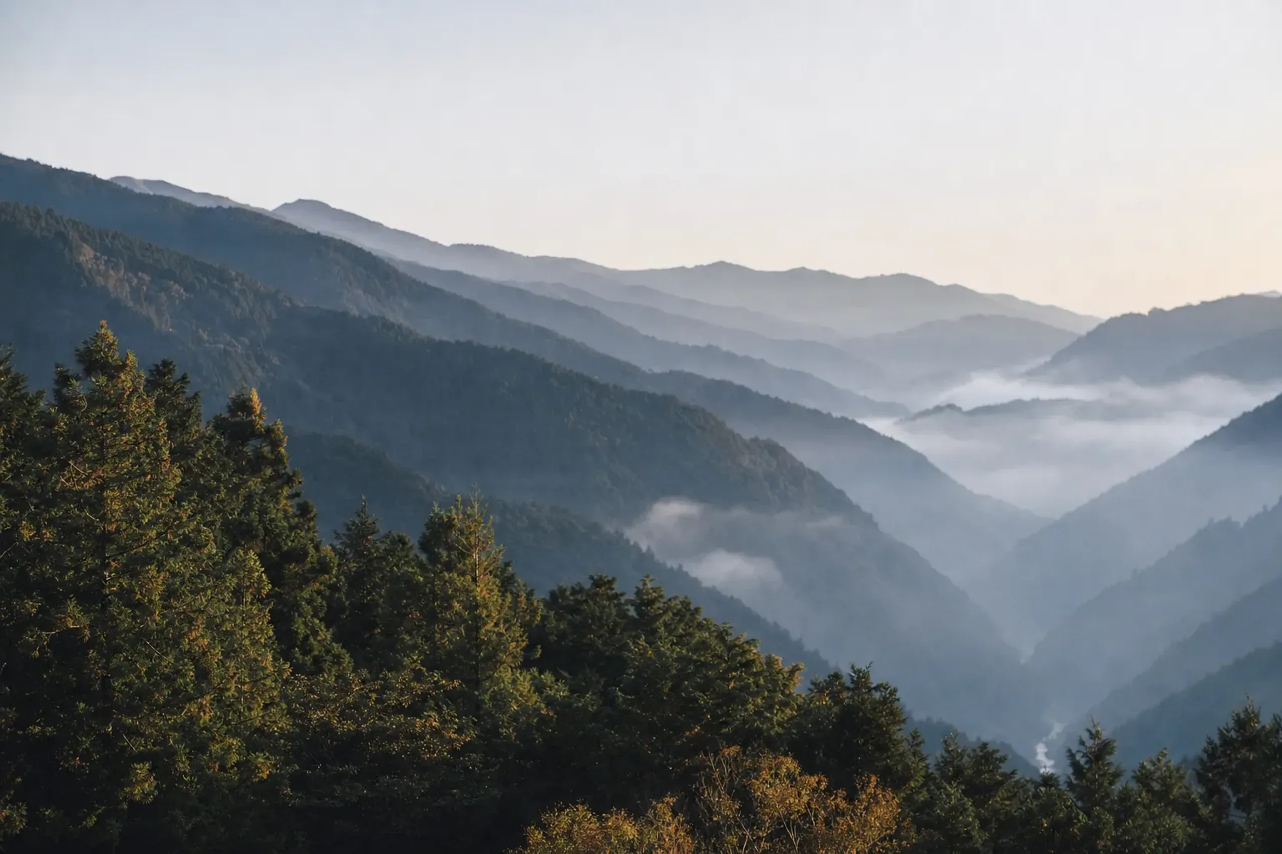 the mist-shrouded folded mountain gorge of the Iya Valley in western Tokushima, Shikoku, where the Taira clan is said to have taken refuge
