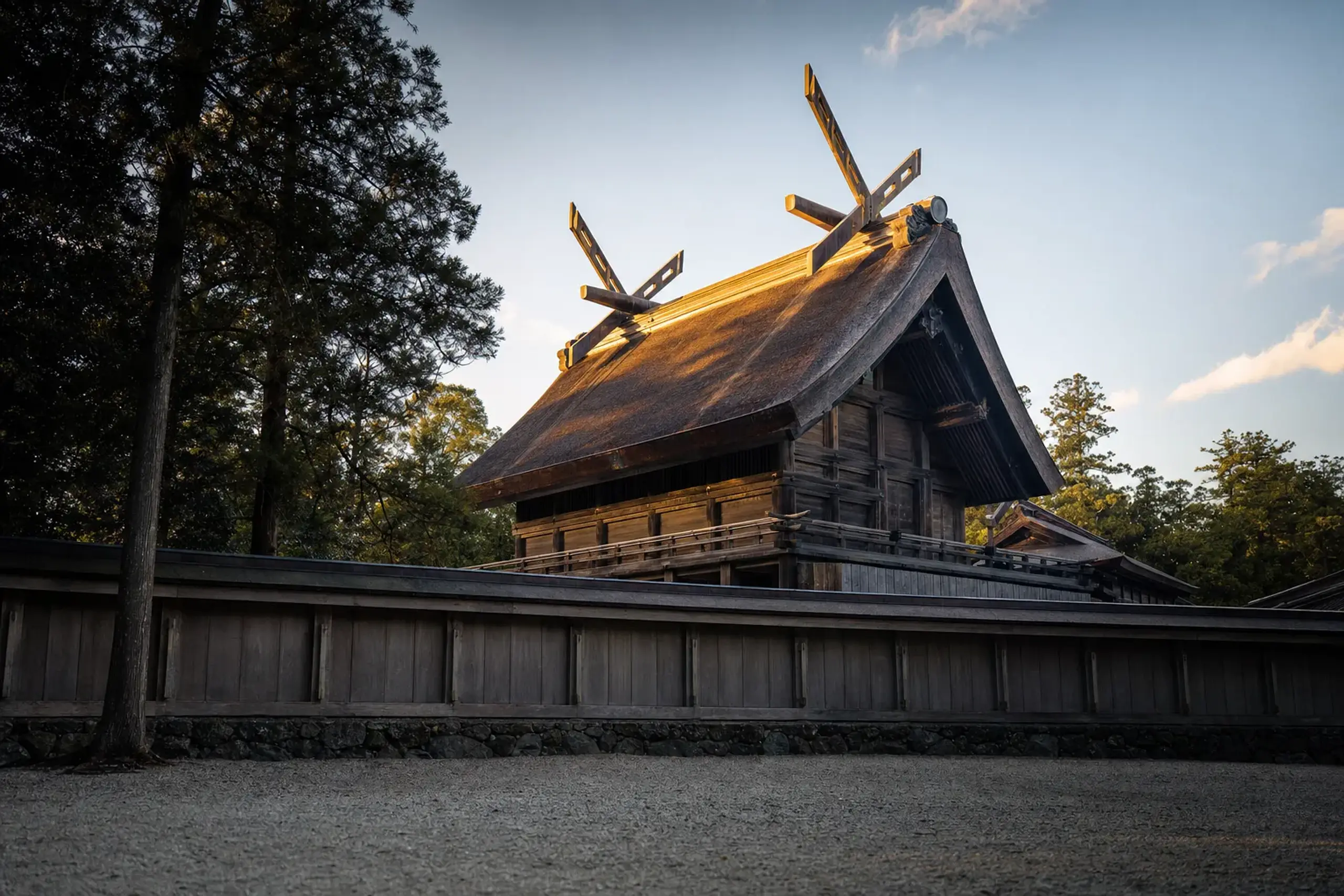 The towering 24-meter Taisha-zukuri style honden main hall of Izumo Taisha with its 7.9-meter crossed chigi roof finials, viewed from the western perimeter