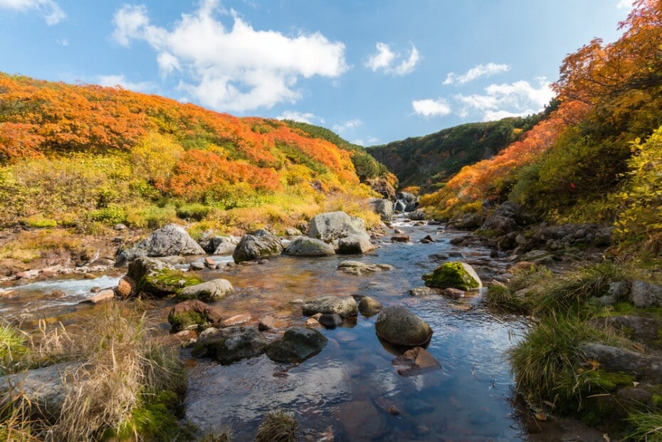 autumn, luxury