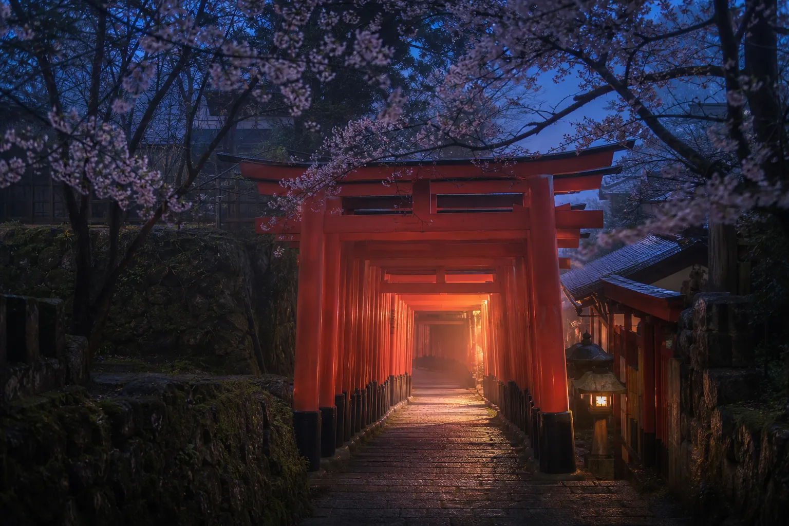 Empty vermilion torii gates at Fushimi Inari Taisha shrine in Kyoto at dawn