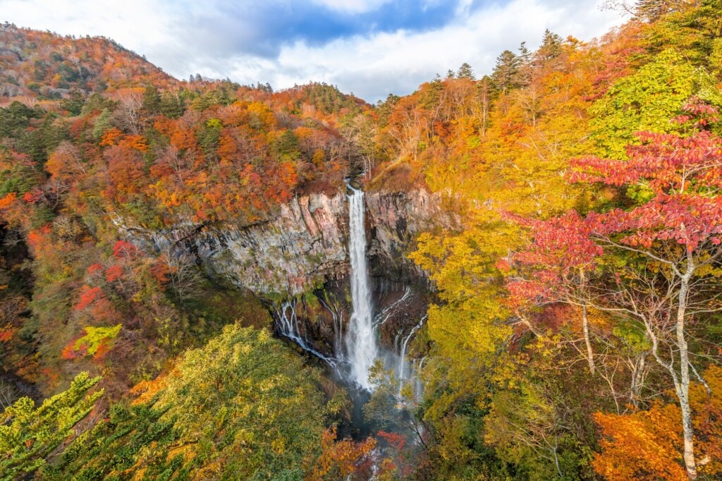 Japan in Autumn