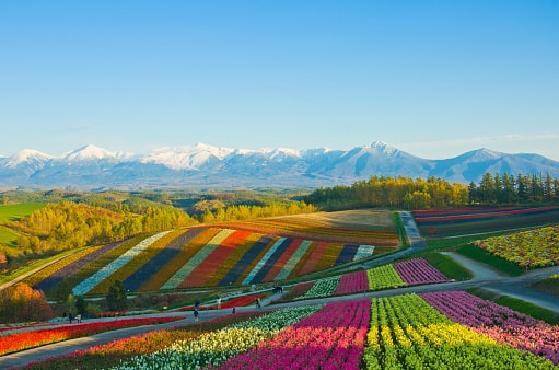 Japan in Autumn