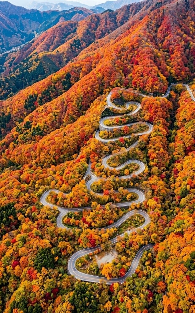 Winding mountain road cuts through a dense autumn forest in vivid orange, red and yellow hues.