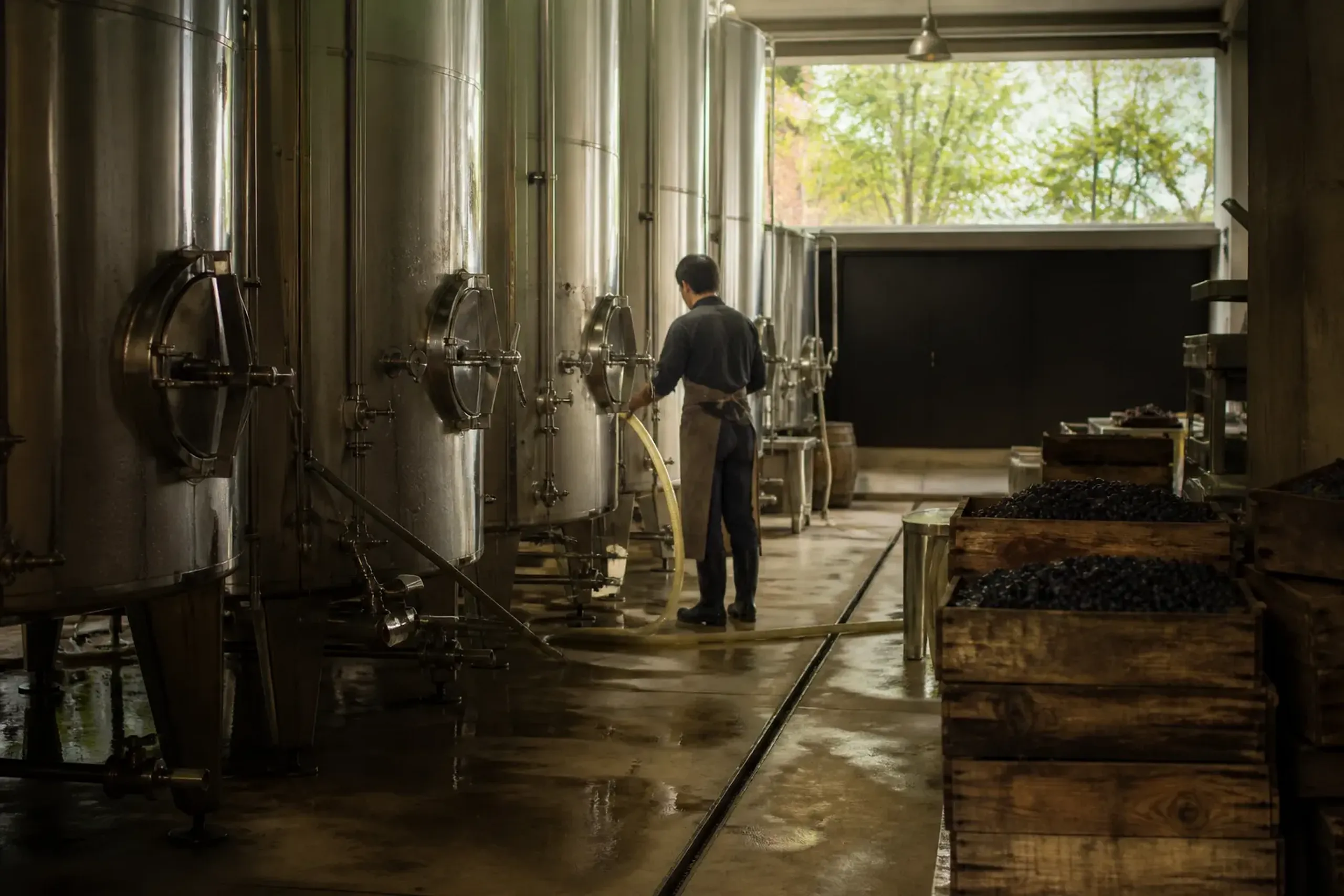 Interior of a working winery in inland Hokkaido with fermentation tanks and crates