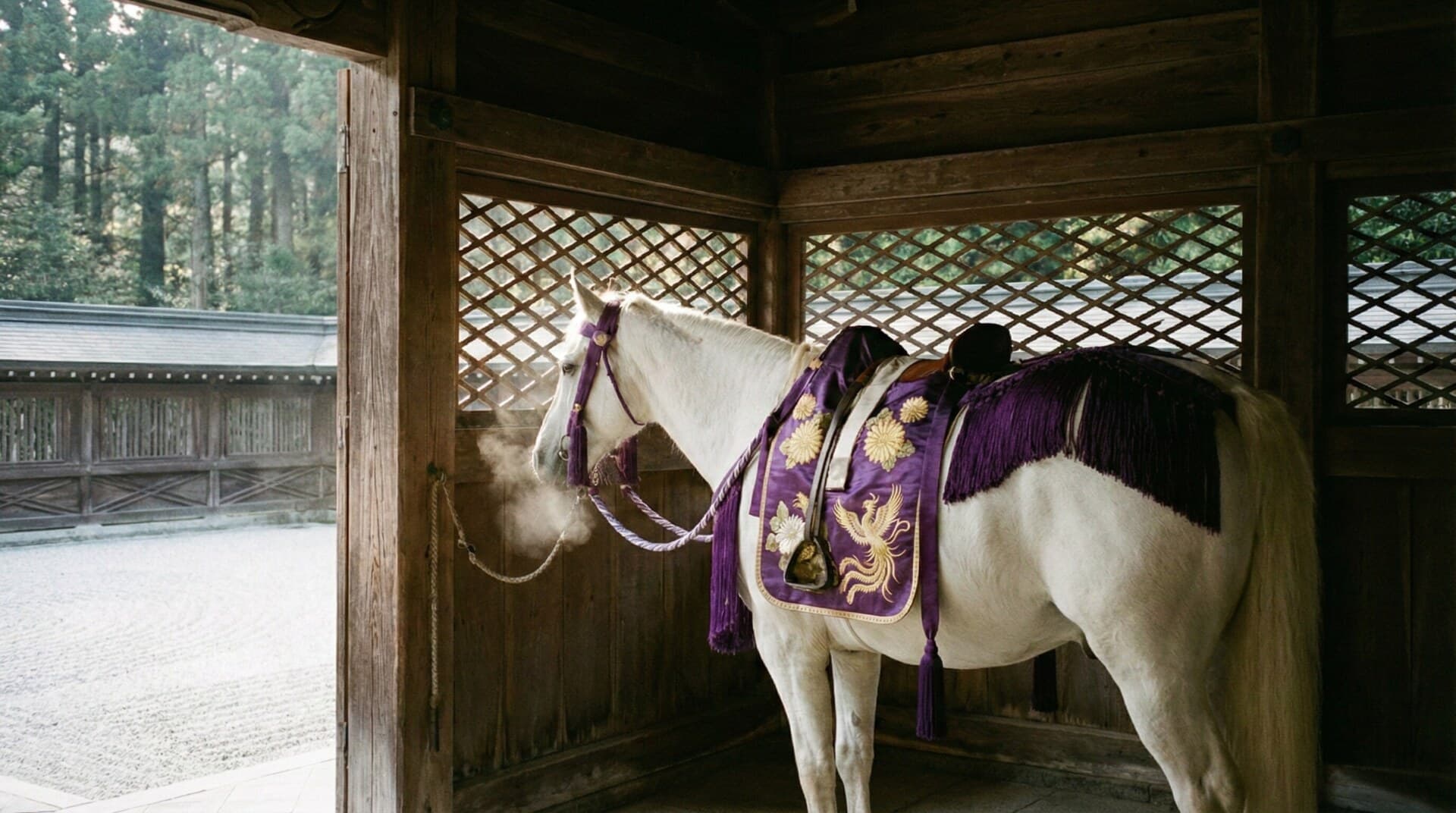 【2026年・午年】日本の神社で体験する特別な神事――Japan Royal Service限定