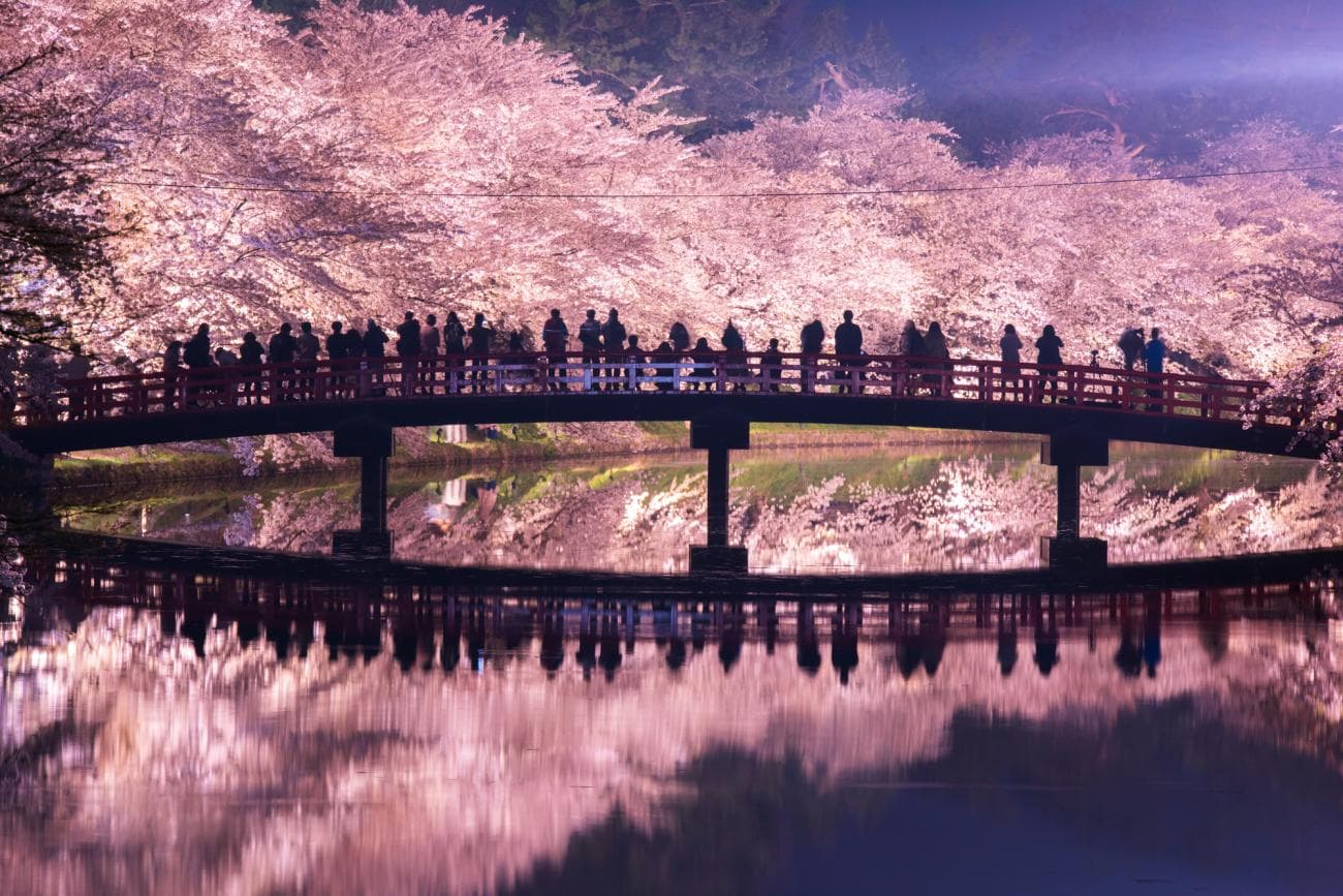 Japan Travel: Epic Ways to See Feudal Castles and Sakura