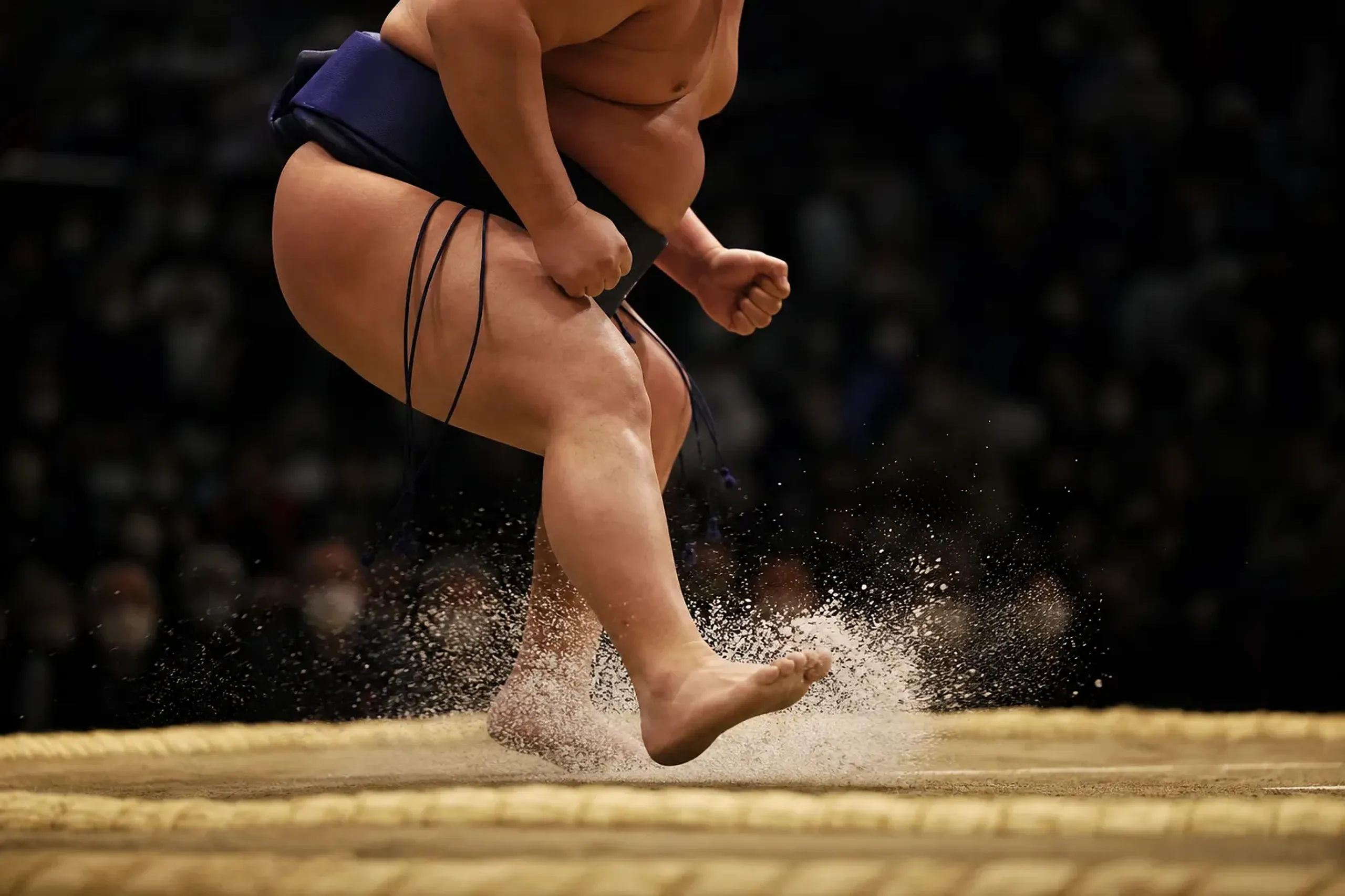 The Ultimate VIP Sumo Experience in Japan