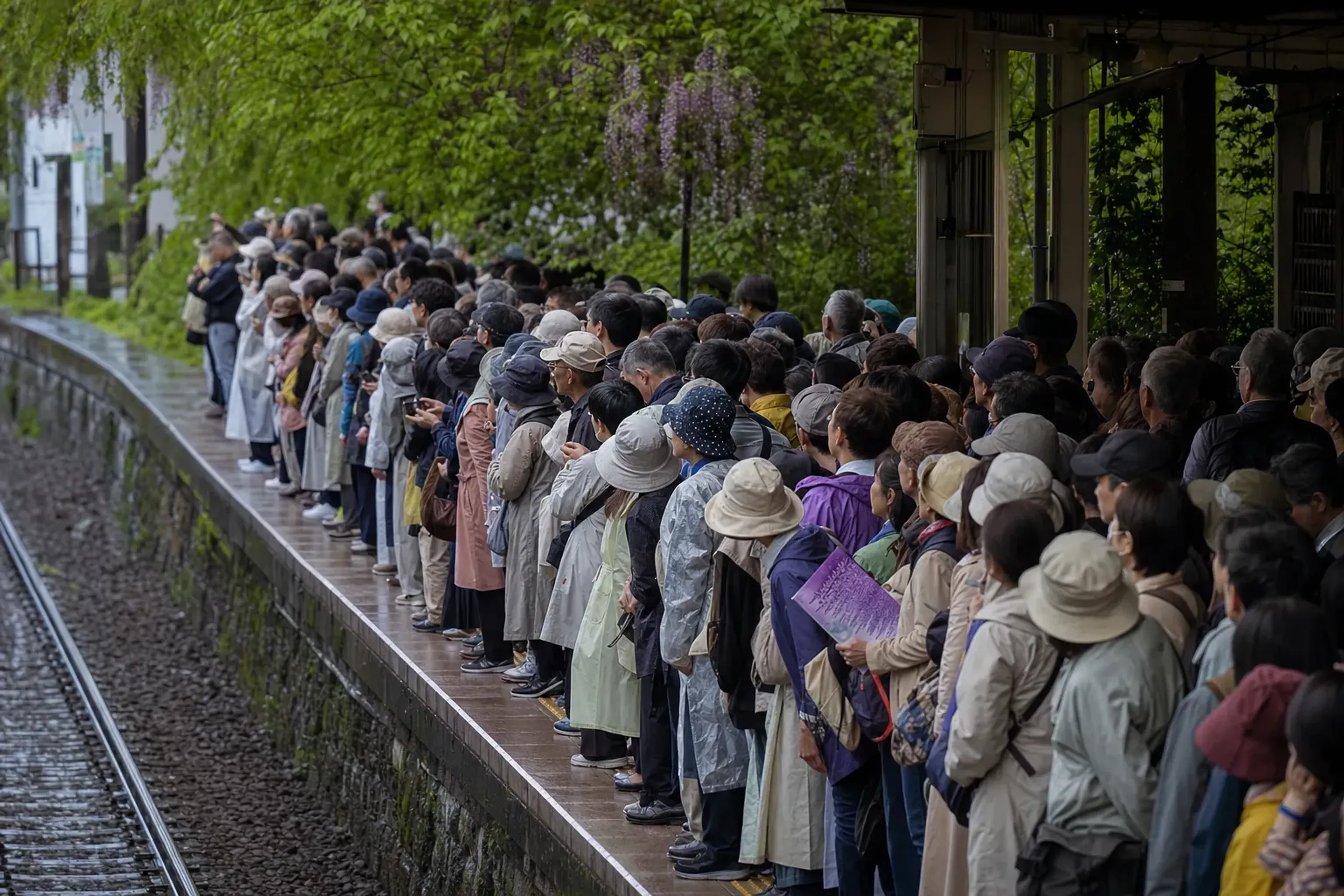 packed train platforms near Ashikaga during Golden Week, crowds compressing along the station edge at peak wisteria season