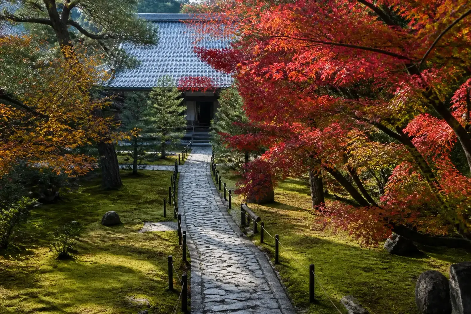 A quiet Kyoto temple garden with moss and stone in early morning light, empty of crowds