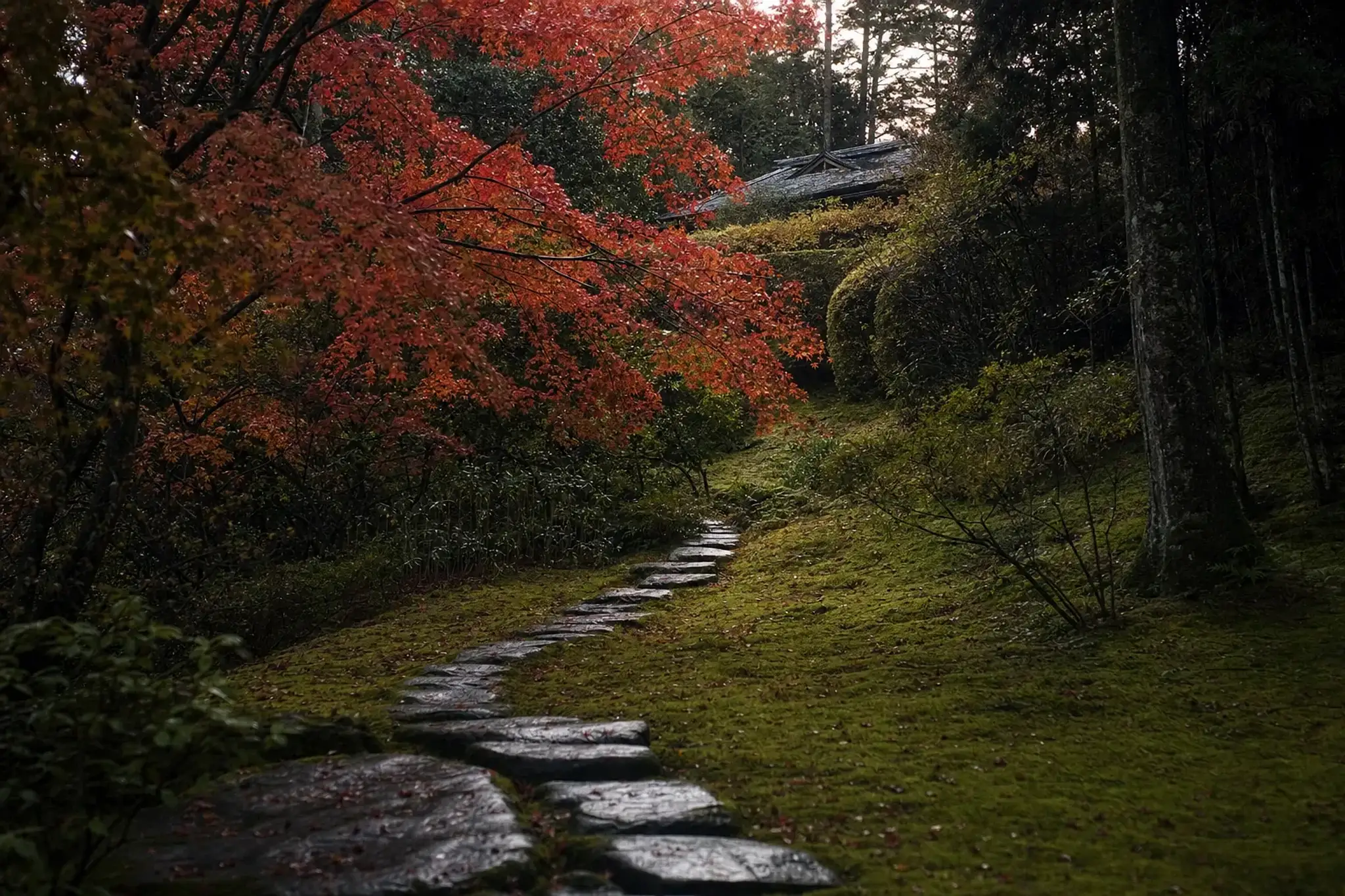 A stone garden path at Kamenoi Besso winding past a stand of maples toward an individual cottage screened by old forest and hedges