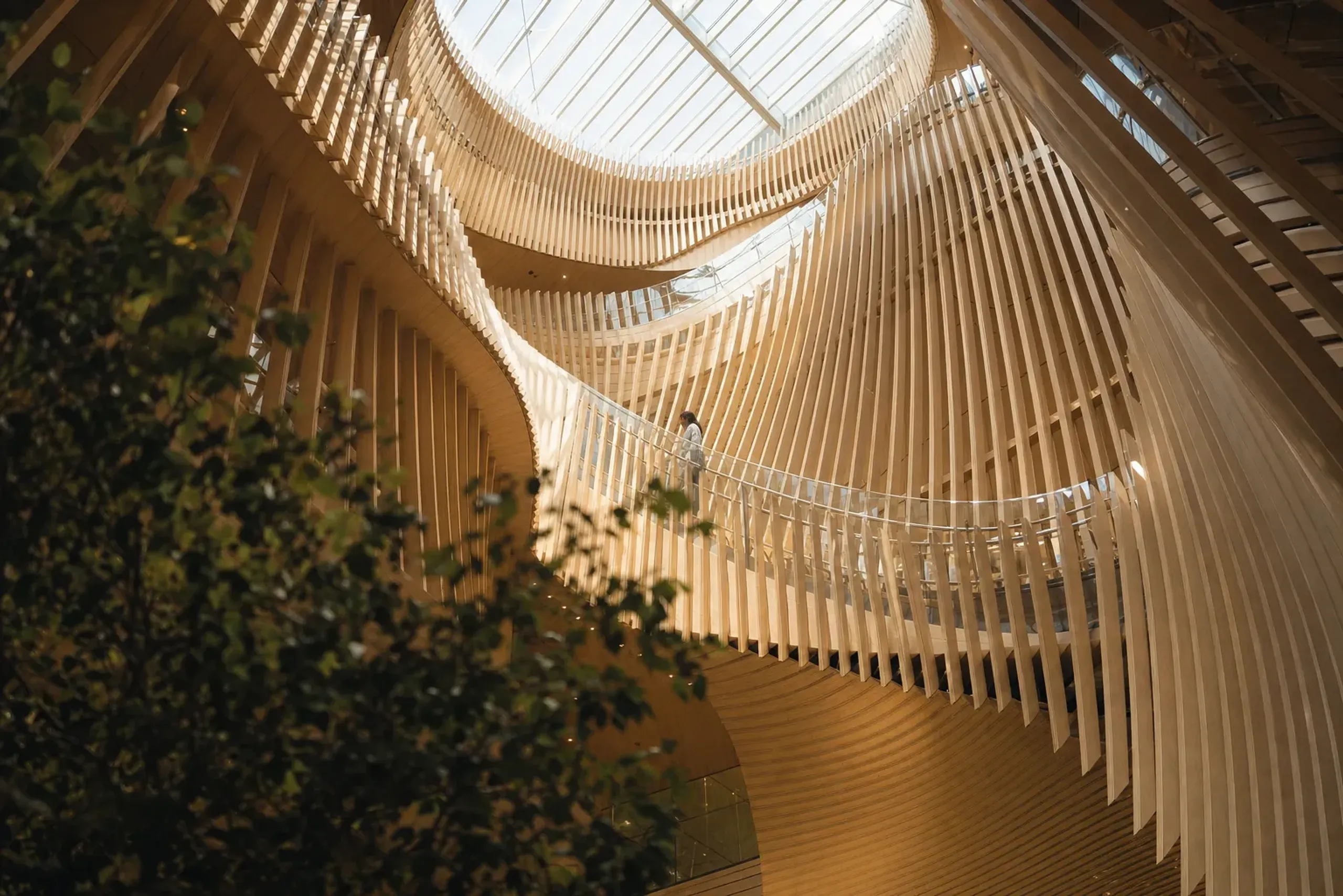 The luminous glass-and-timber interior atrium of the Toyama Glass Art Museum with its layered wooden louvers