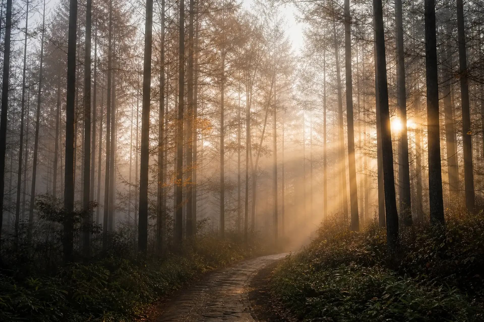 Karuizawa Quiet Luxury Guide 2026 | Japan Royal Service