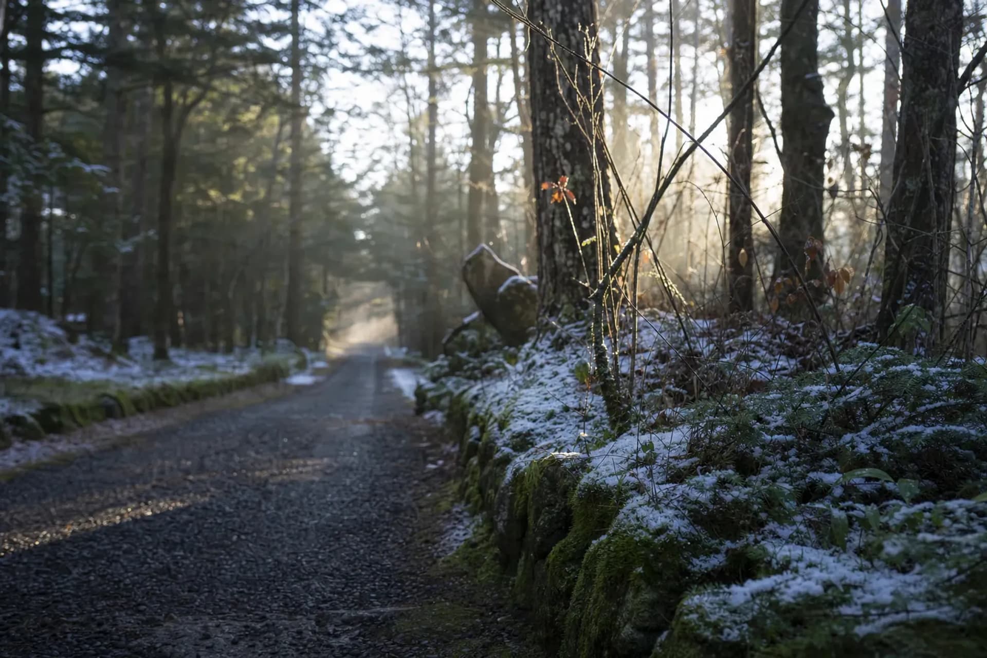 A Struggling Innkeeper Built Karuizawa's Summer Resort