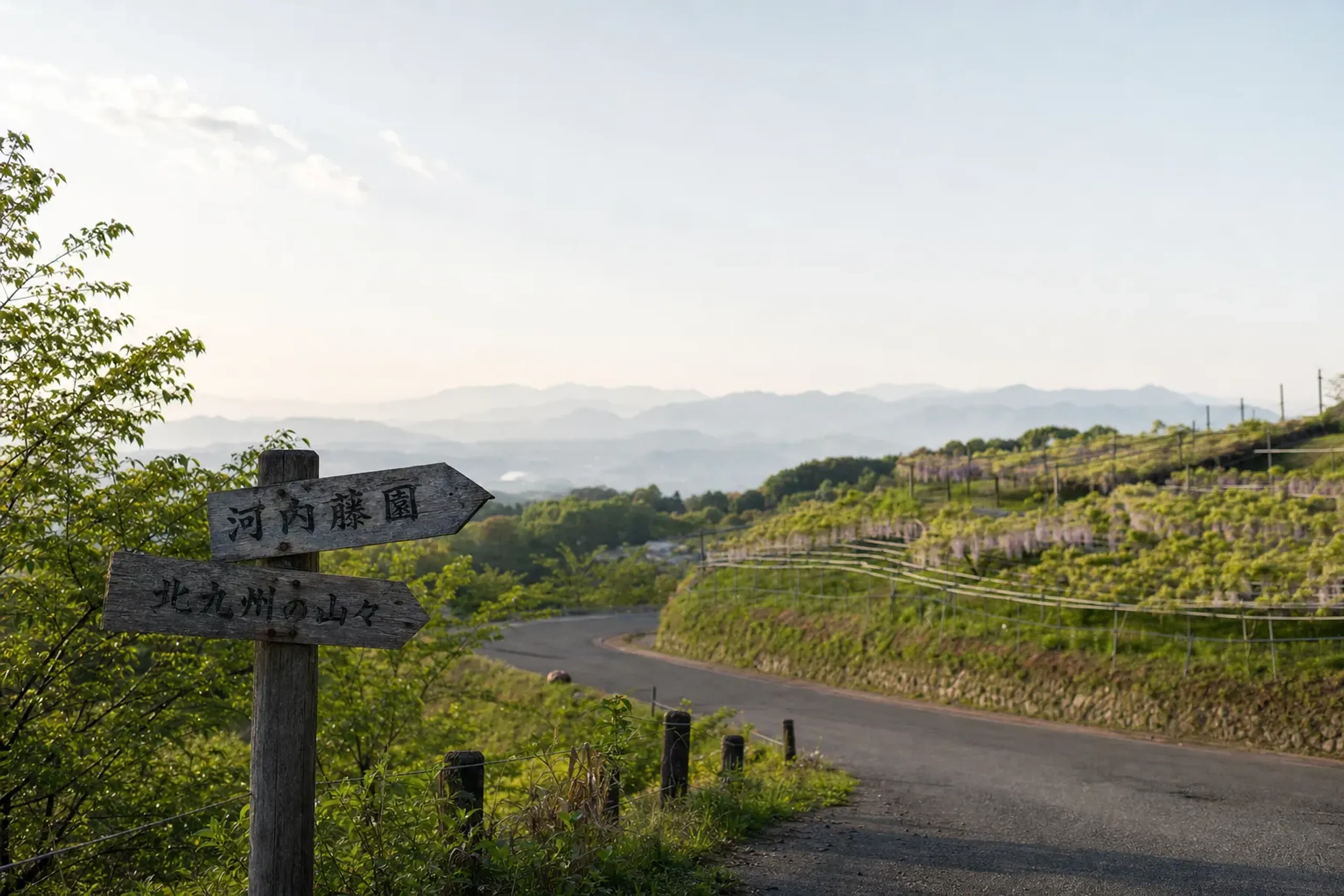 Kawachi also slots naturally into a broader Northern Kyushu