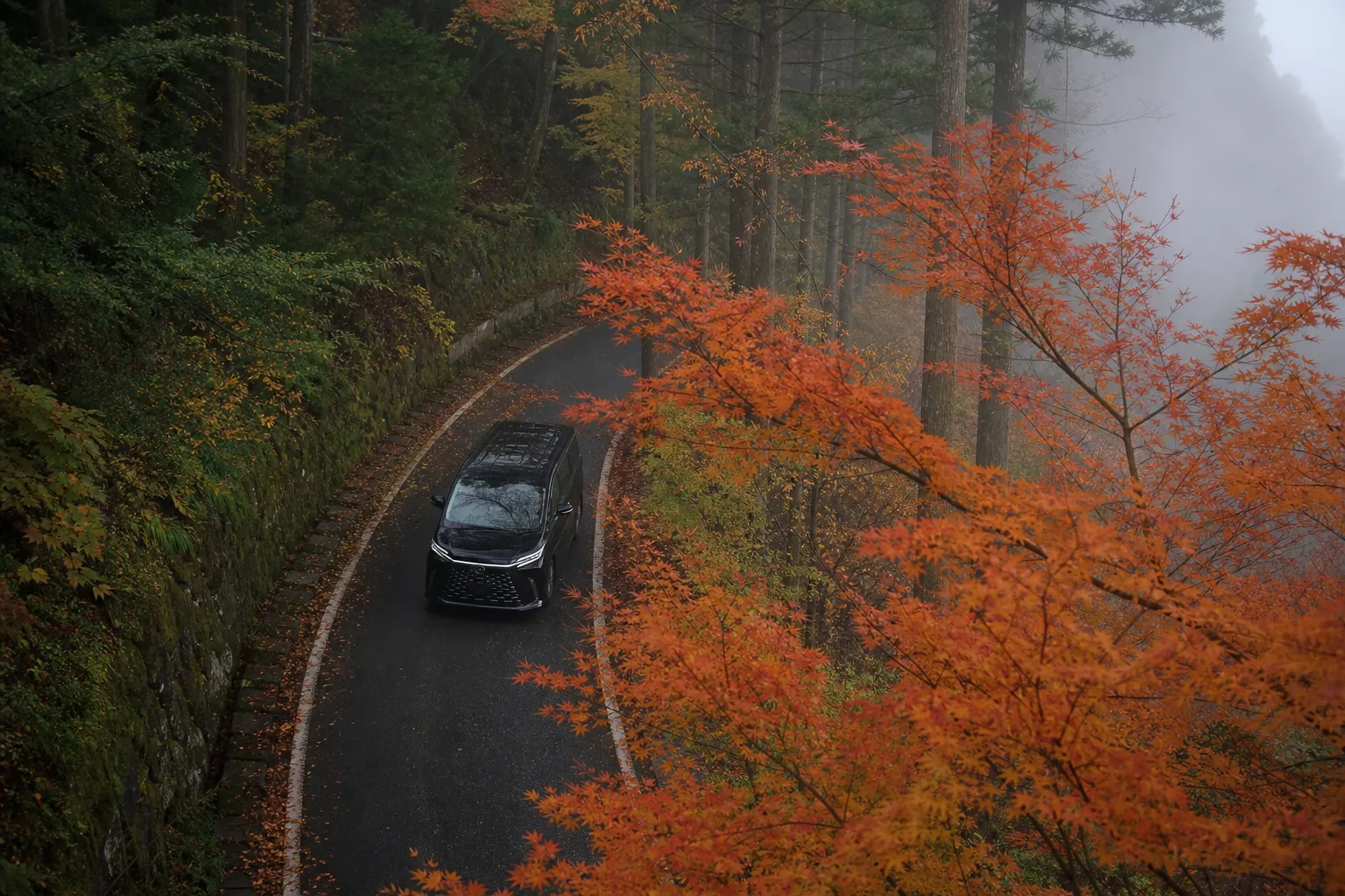 Luxury chauffeured minivan on the forested mountain road leading up to Kibune