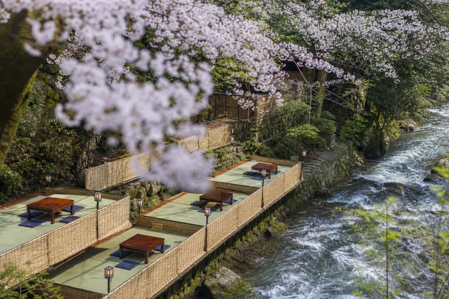 Kibune Kawadoko Dining Guide: Kyoto’s River-Platform Season