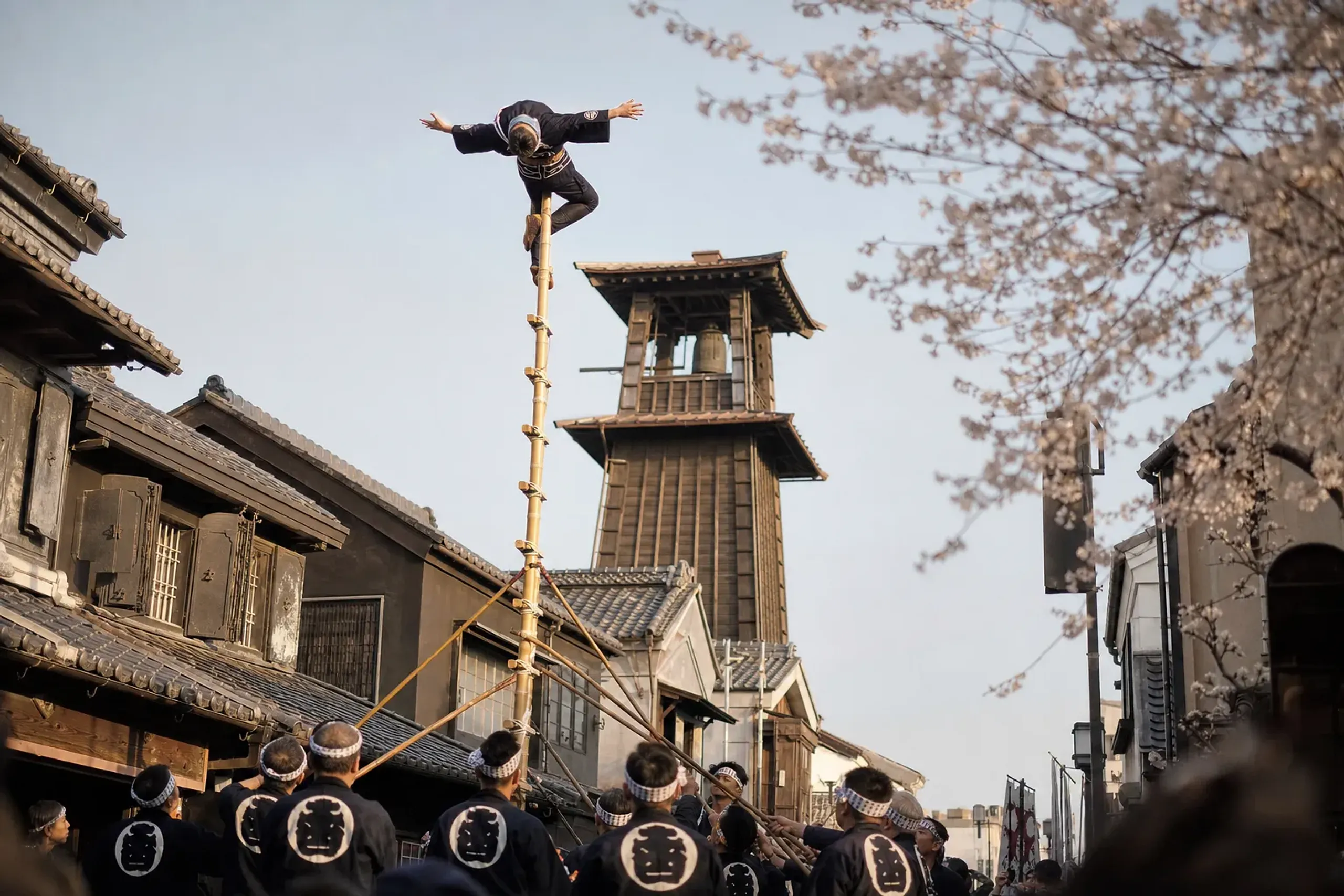 Hashigo-nori performers balancing atop a tall wooden ladder during the Koedo Kawagoe Haru Matsuri in the Edo-style streets