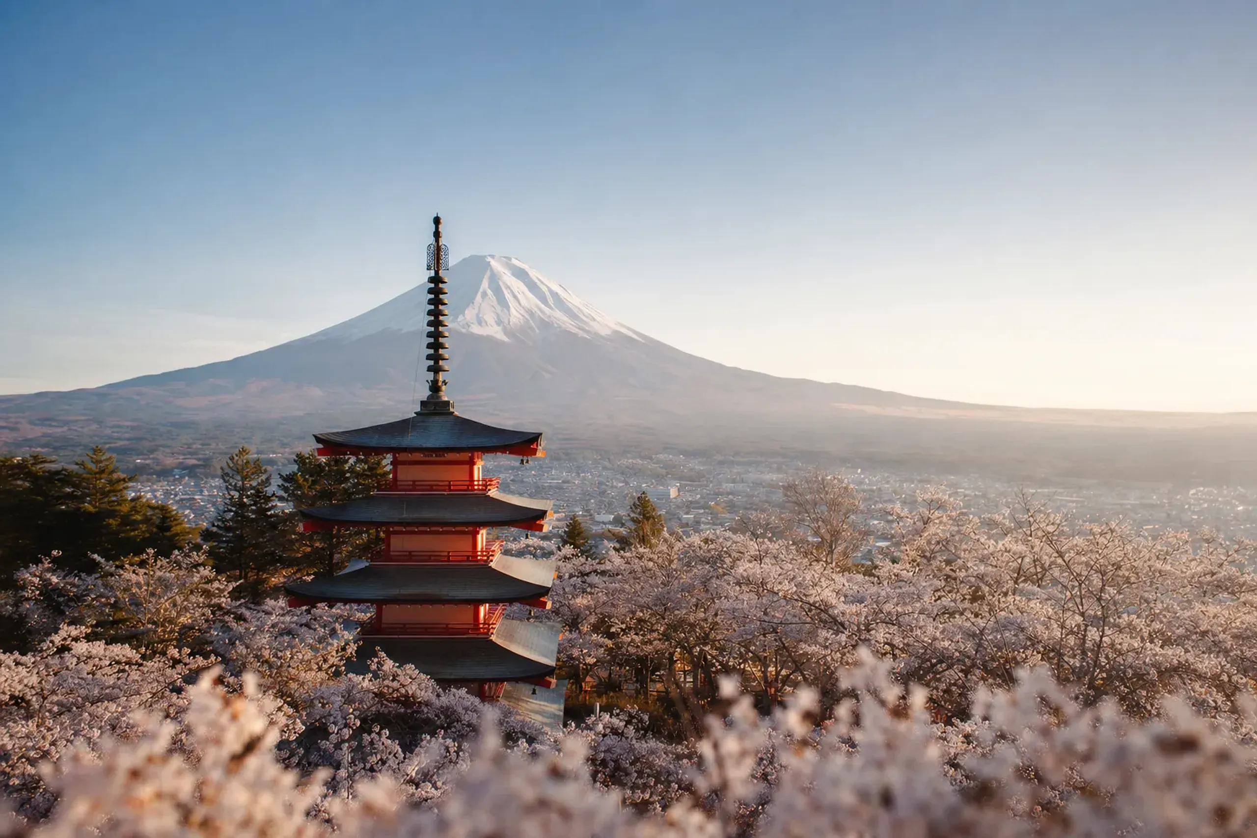 The five-storied Chureito Pagoda framed by Somei-yoshino cherry blossoms with snow-capped Mount Fuji aligned behind it in crisp morning light at Arakurayama Sengen Park