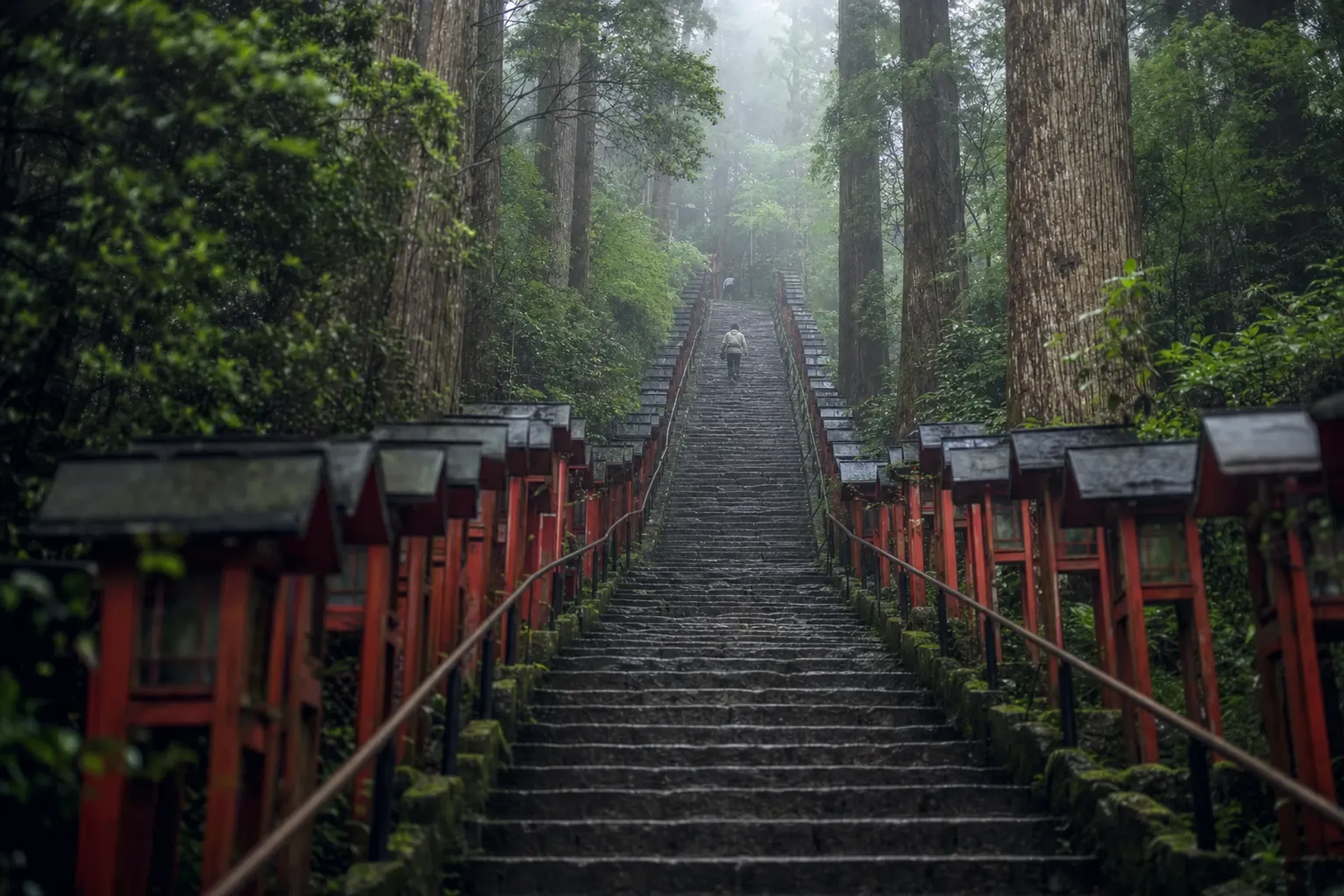 The 398 Sakuyahime Stairs ascending steeply through the forest toward Arakura Fuji Sengen Shrine at Arakurayama Sengen Park