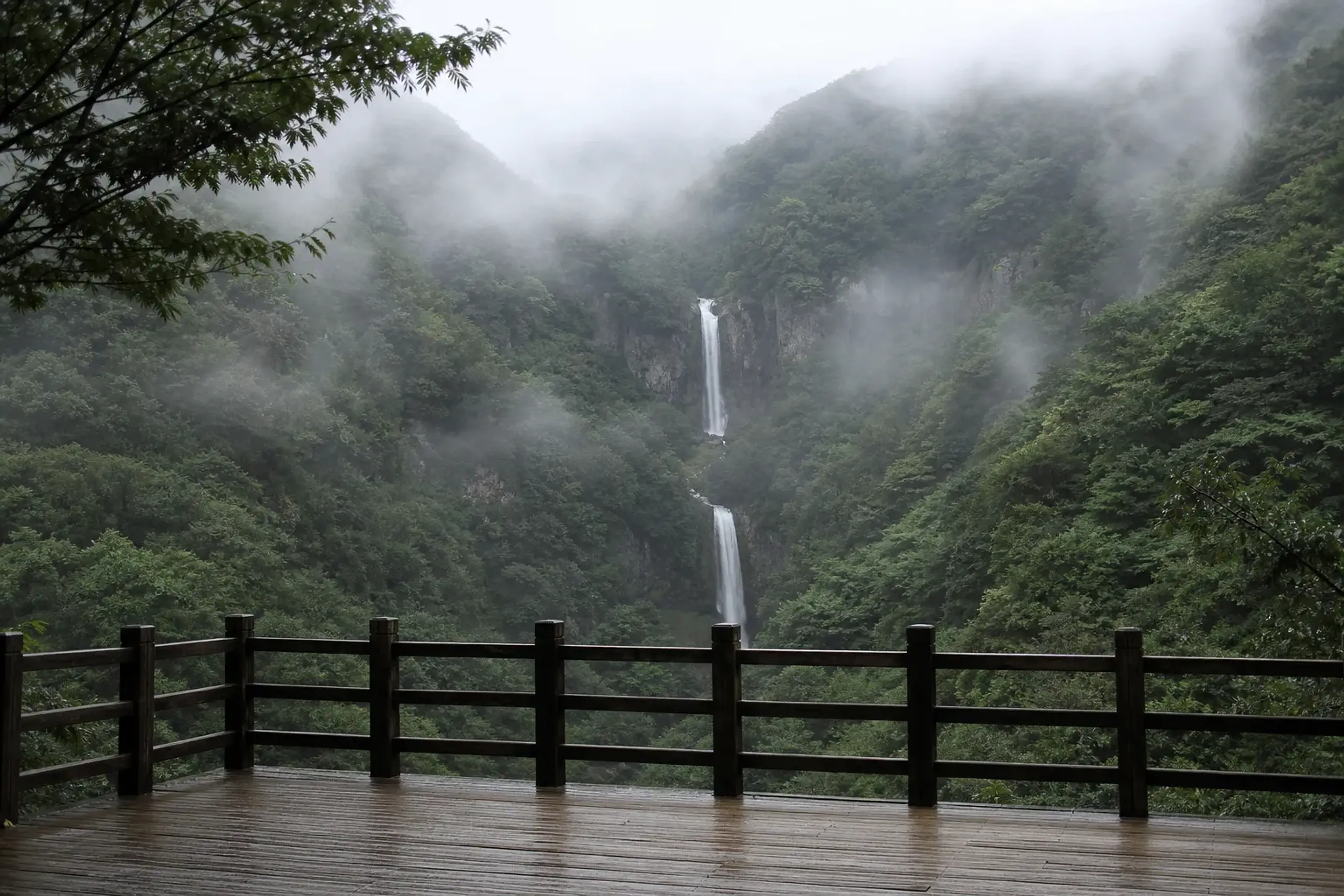 Kirifuri Falls in Nikko viewed from an observation point with forested gorge and mist