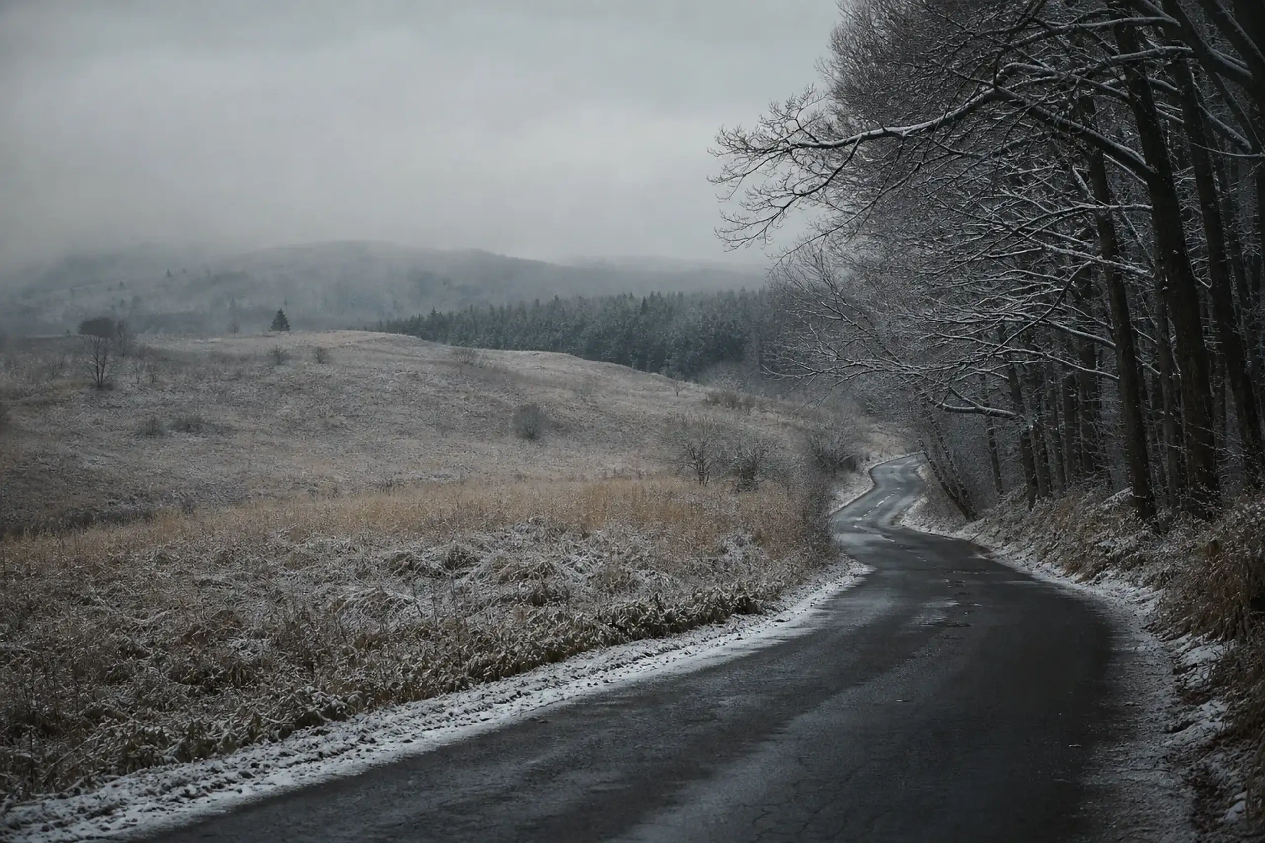 Highland road in Kirifuri Kogen with trees, meadow, and distant ridgeline views