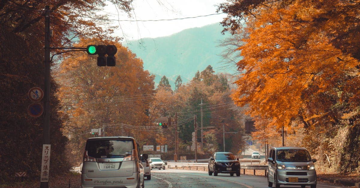 Kirifuri Kogen In Nikko: A Quiet Highland Drive For Waterfalls, Ridge Views, And Wabi-Sabi Stillness