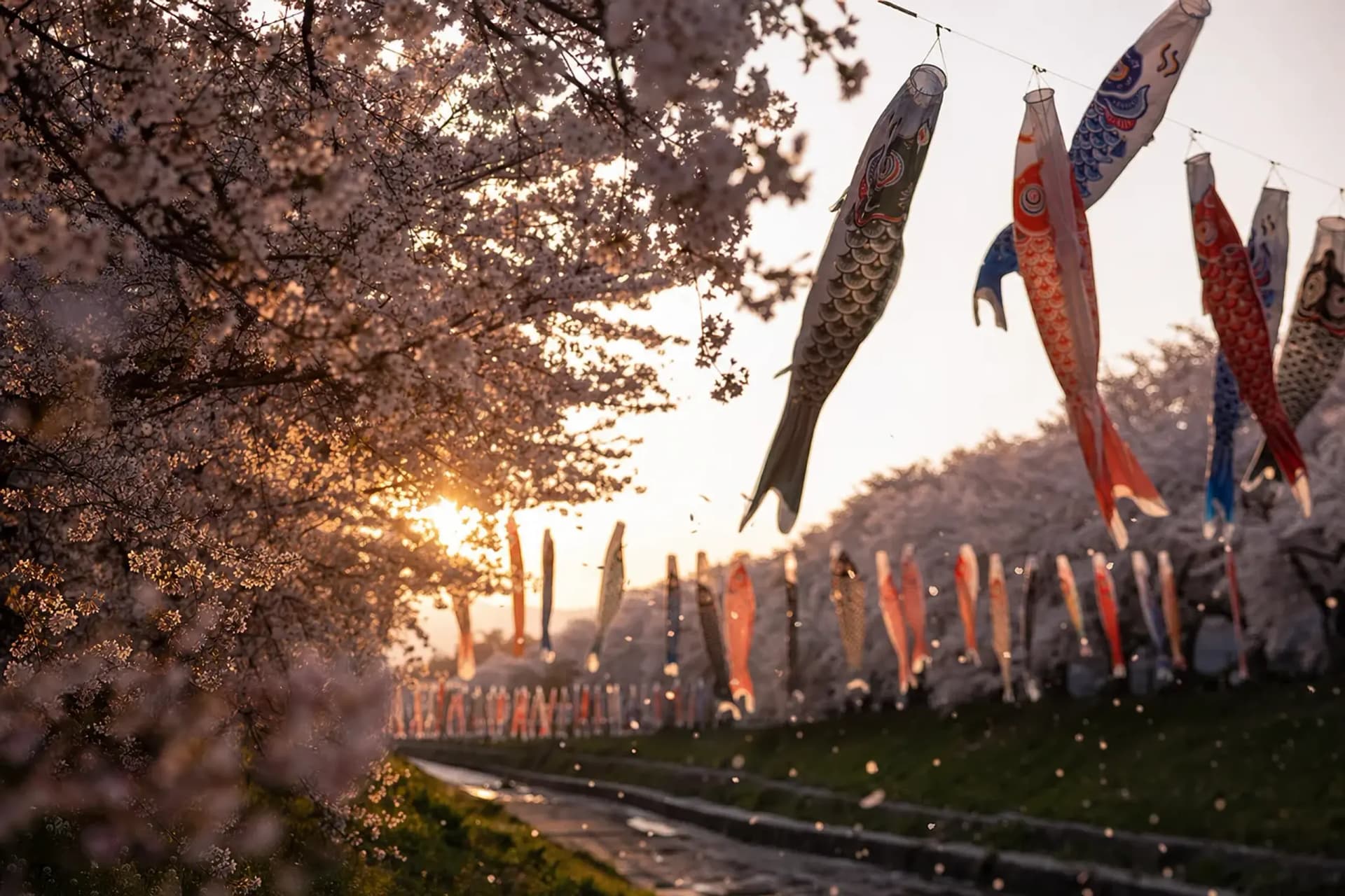 Kitakami Tenshōchi: Carp Streamers Over a Cherry Avenue