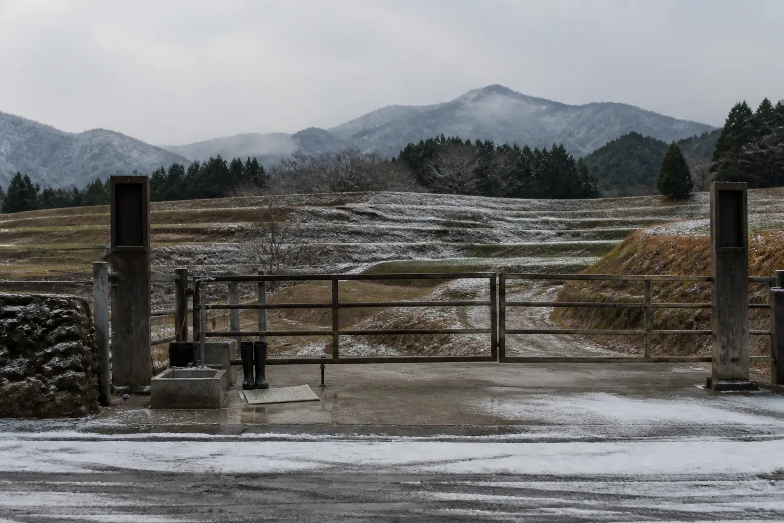 Rural farm entrance in Hyogo with disinfectant mat or boot-wash station used for biosecurity protocols