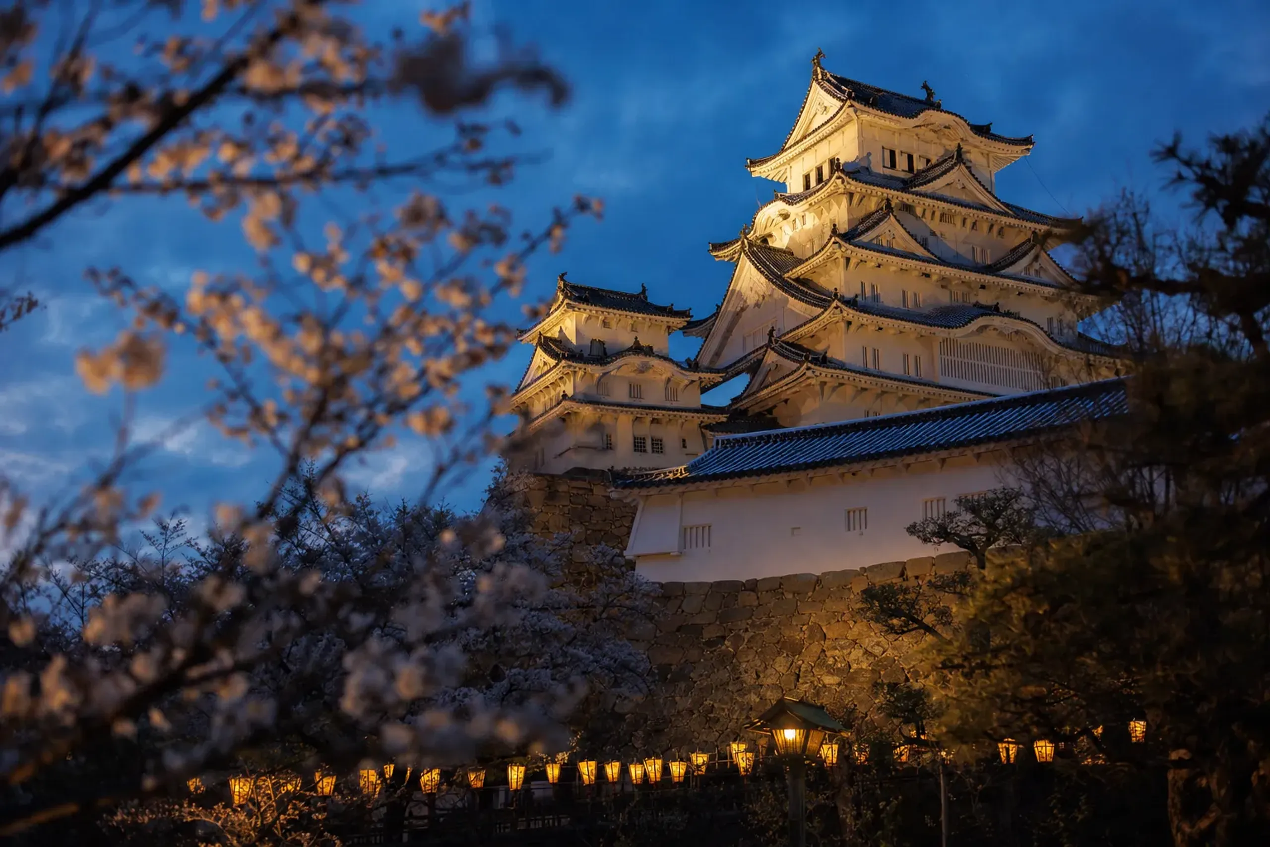 the illuminated white keep of Kōchi Castle at night, silhouetted and lit by lanterns against a darkening spring sky