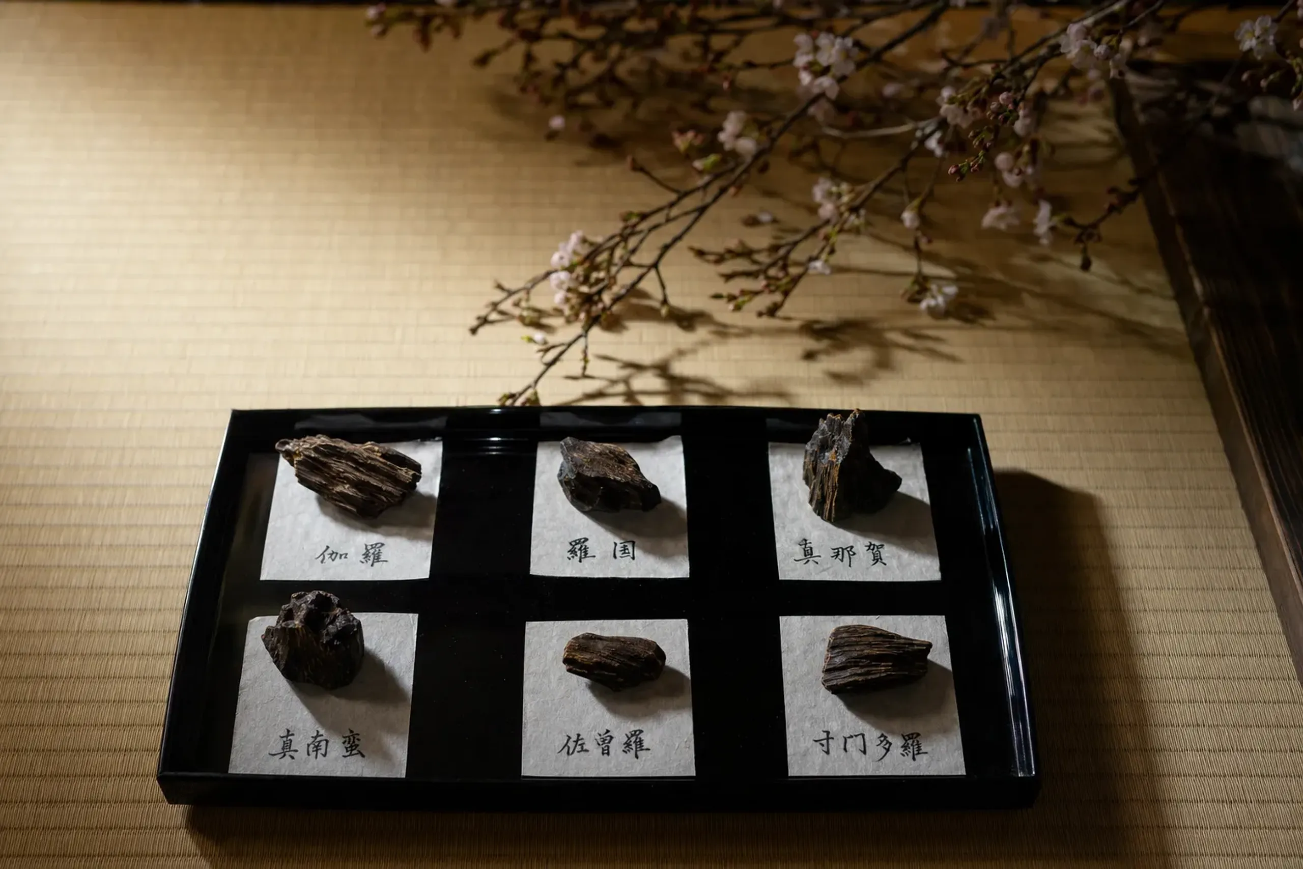 A set of small labeled jinkō agarwood samples sorted into the rikkoku six-country categories, arranged on a lacquered tray