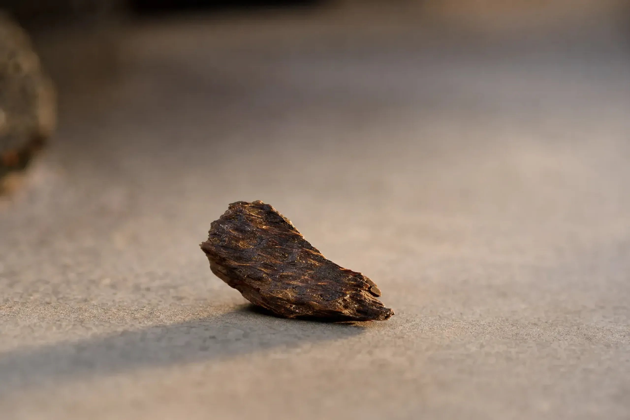 A dark resin-saturated piece of kyara-grade agarwood, its dense oily grain visible against a plain neutral surface