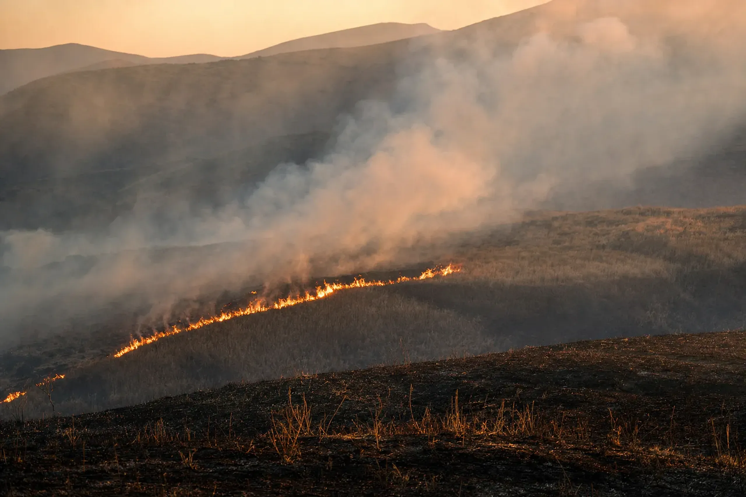 Controlled grassland burning (noyaki) sweeping across the Kuju slopes, flames and smoke over volcanic terrain in early spring