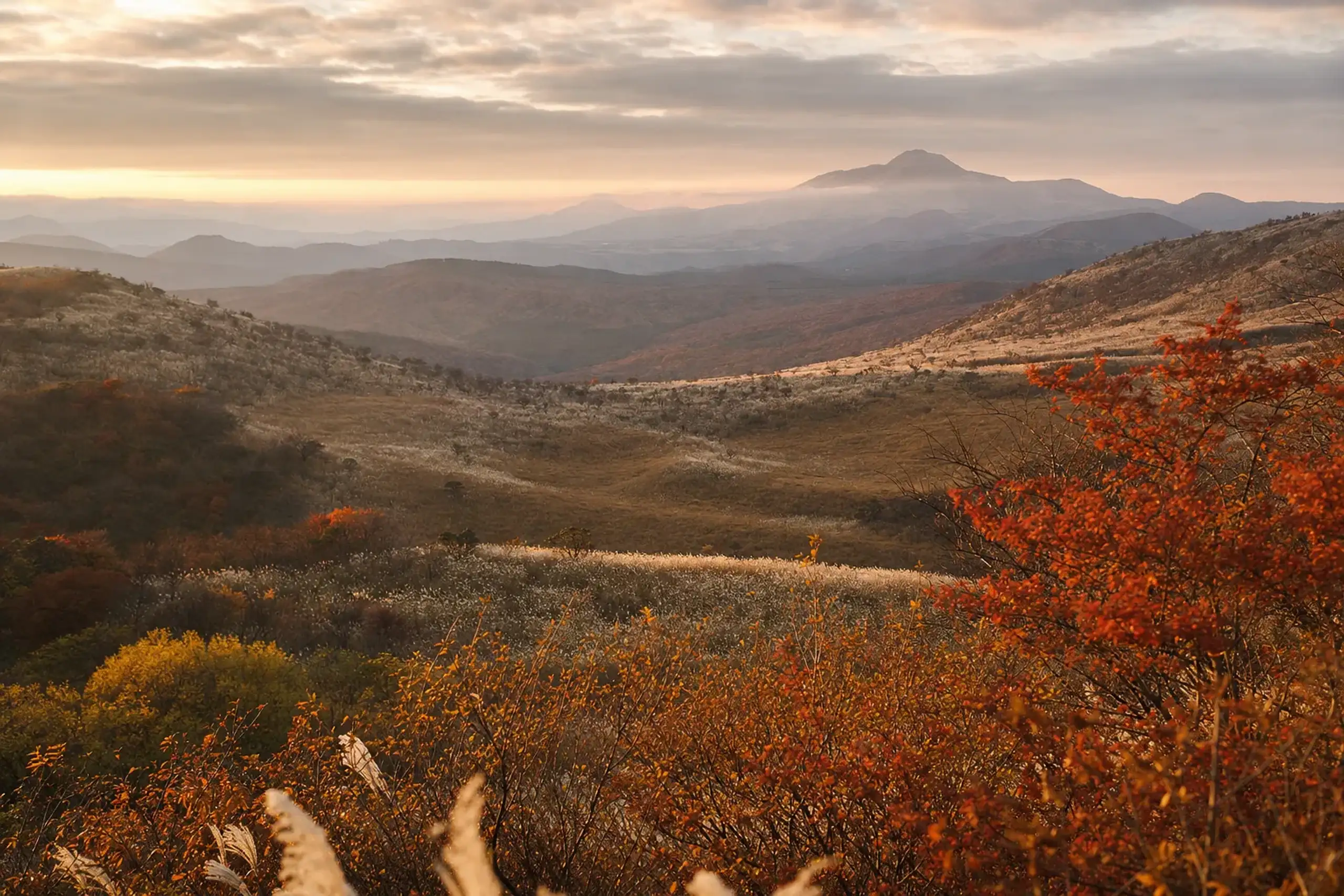 Kuju, Ōita: The Remote Plateau Chosen Over Tokyo