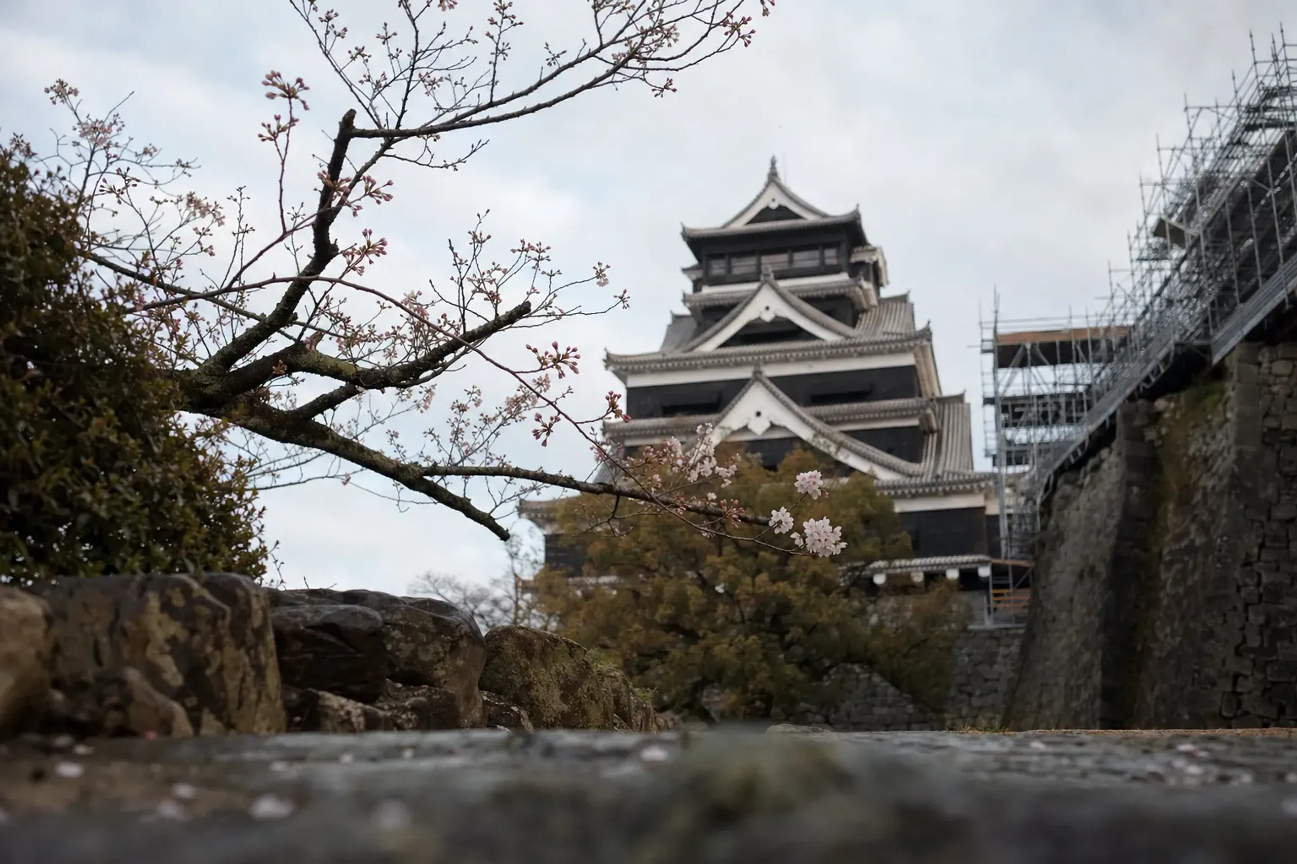 Kumamoto’s spring can turn quickly. One cool week stretches