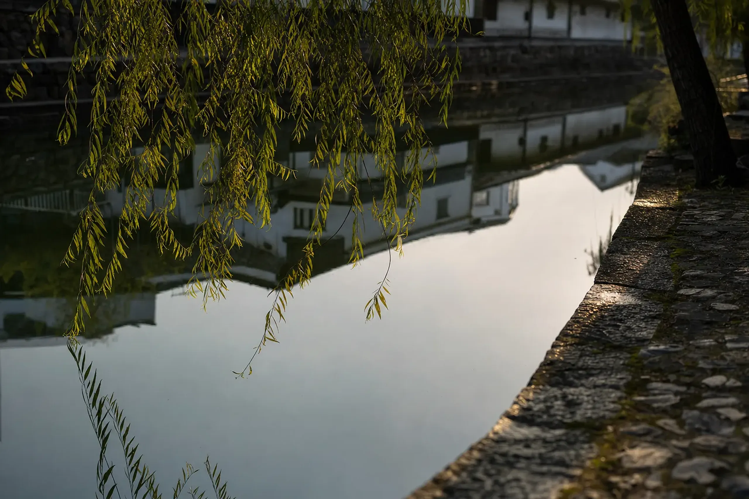willow branches trailing over the still reflective surface of the Kurashiki River beside stone-paved canal banks