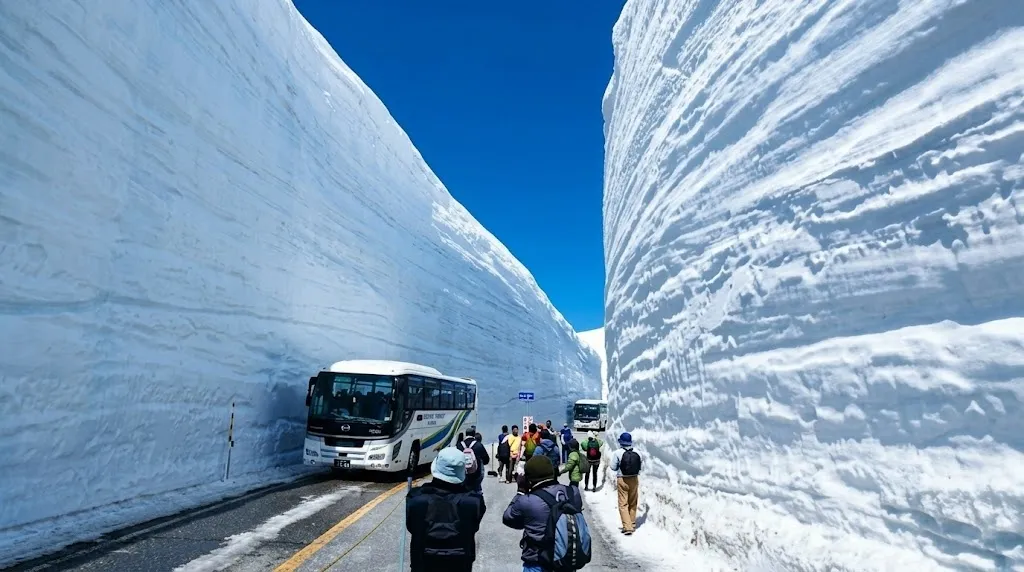 A wide shot of the Tateyama Kurobe Alpine Route's iconic snow wall corridor featuring massive white snow banks and a blue sky above a small bus.
