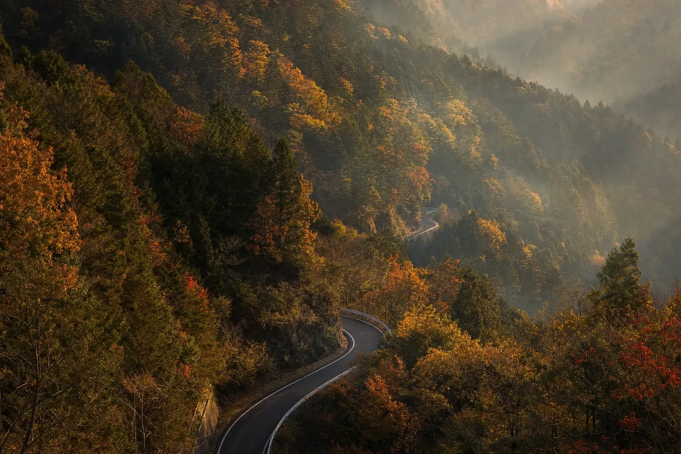 The winding highland mountain road approaching Kurokawa Onsen through the forested valley north of Mount Aso